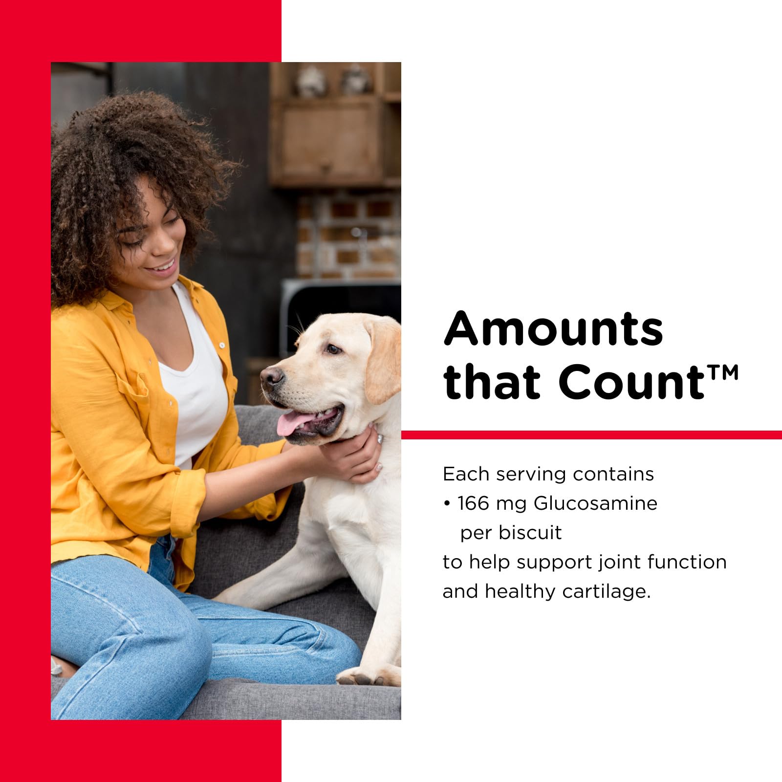 Nutri-Vet Wellness Hip and Joint Level One Small and Medium Dog Treat [Set of 2] Flavor: Peanut Butter