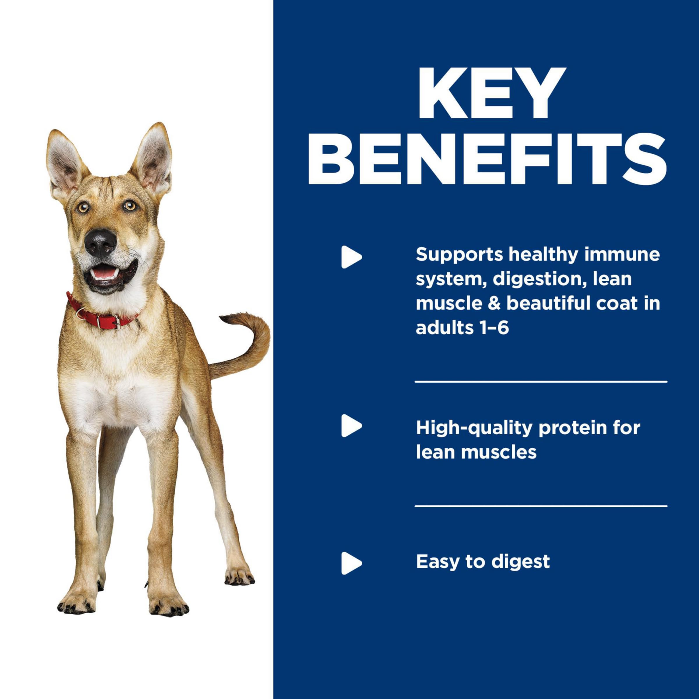 Hills Science Diet Adult 1-6, Adult 1-6 Premium Nutrition, Wet Dog Food, Variety Pack: Chicken & Barley; Beef & Barley Loaf, 13