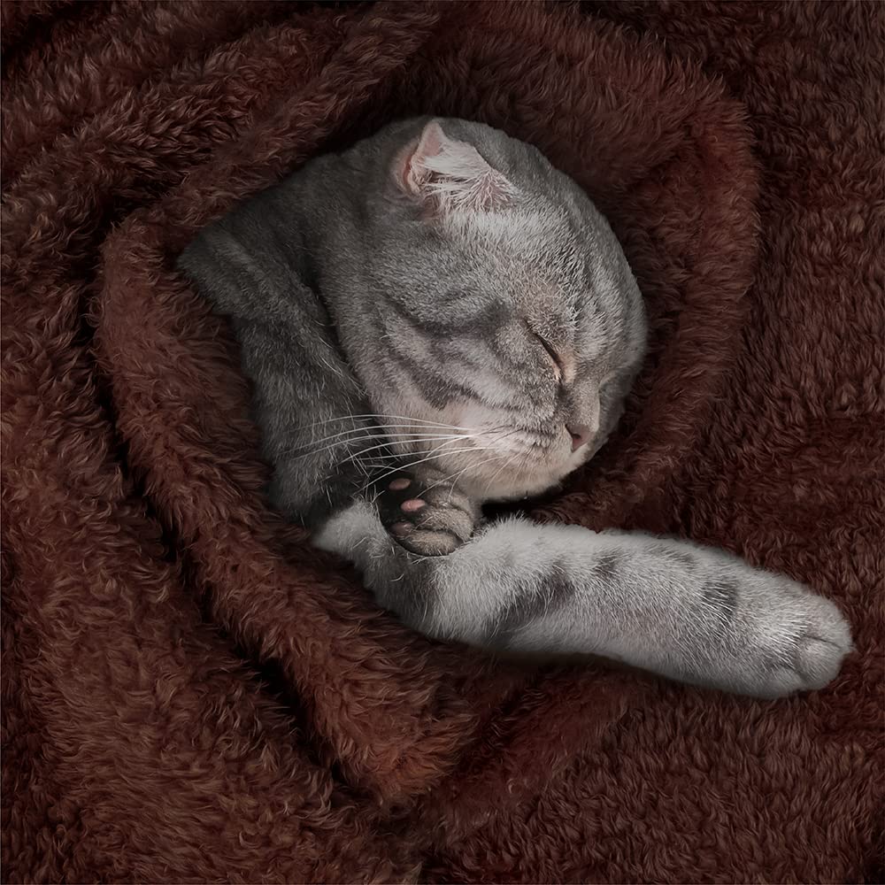Petami Fluffy Dog Blanket For Medium Large Dog, Pet Blanket For Bed, Sherpa Furniture Couch Cover Protector, Soft Fleece Cat Sofa Throw, Shag Plush Reversible Washable For Puppy Kitten, Brown 40X60