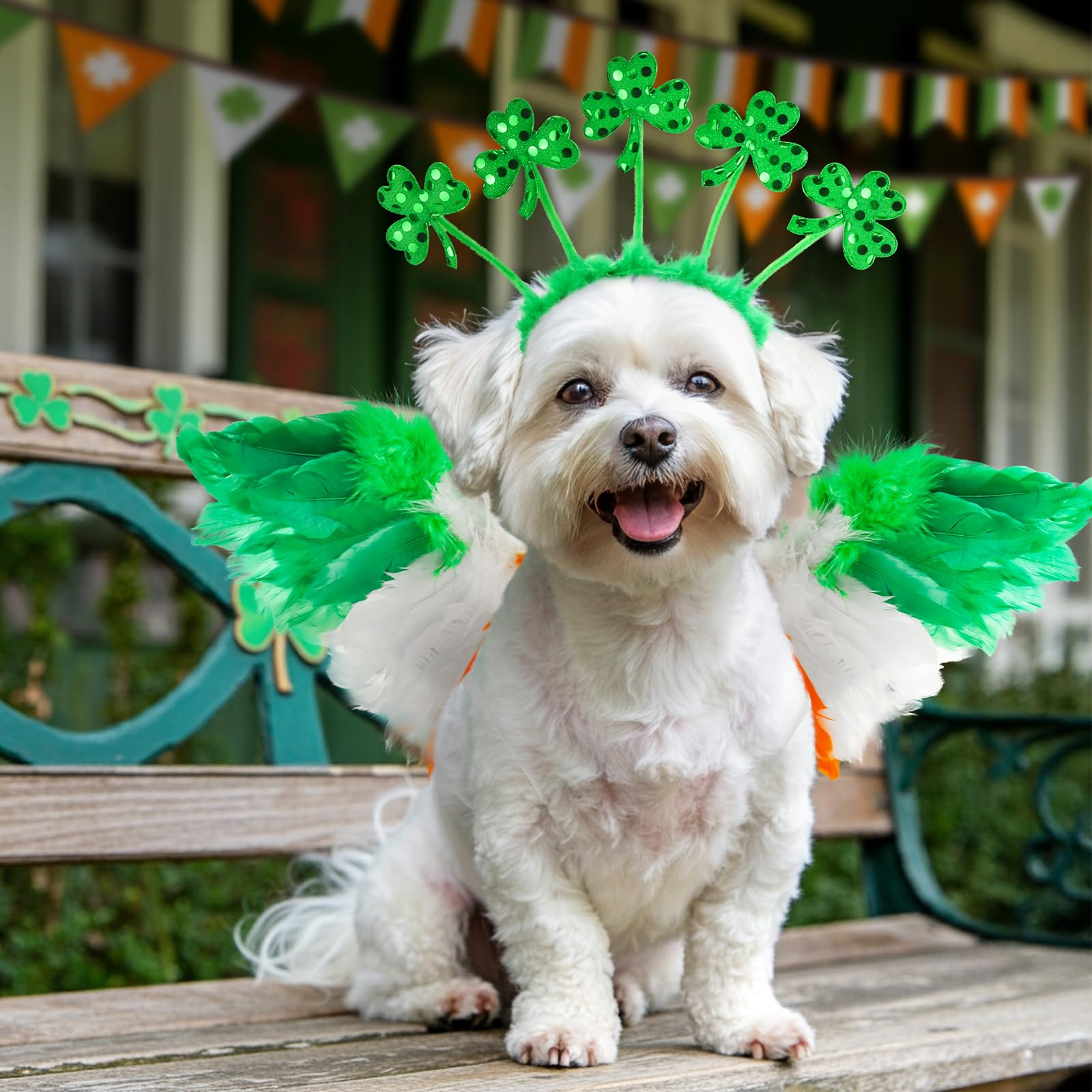 Shurung Adorable Shamrock Headband St. Patrick'S Day Costume Set With Irish Colors Feather Wing & Trefoil Headband Lucky-Themed
