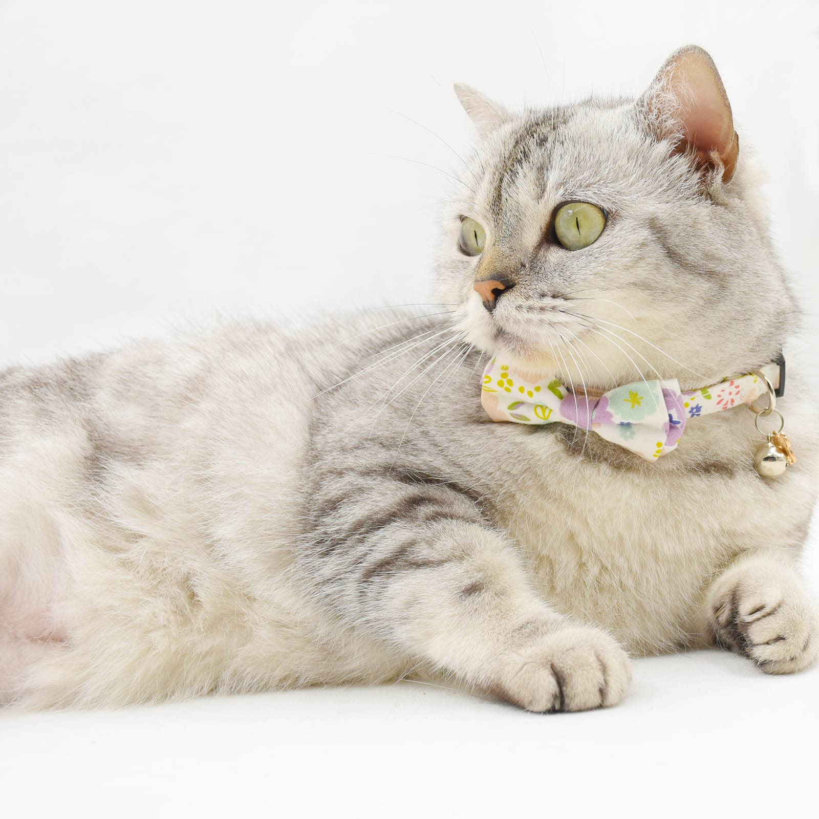 Bowtie Cat Collars Breakaway With Bell, Adjustable Cute Kitty Collars Safety Buckle Kitten Collar For Cat Puppy 7.5-11In (Purple