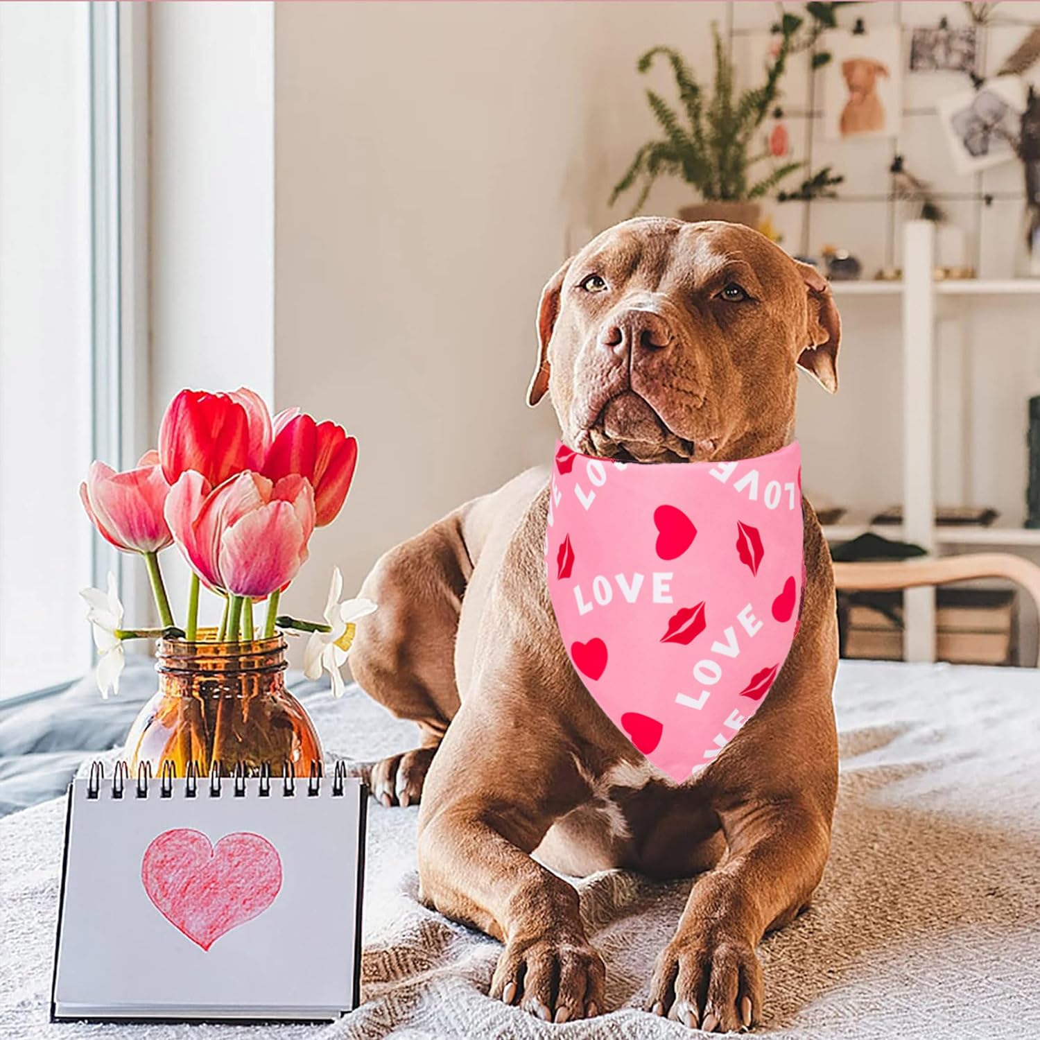 Valentines Day Dog Bandana, 2 Pack Dog Valentines Bandana Costumes Triangle Reversible Love Pet Scarf For Boy And Girl Pet For S
