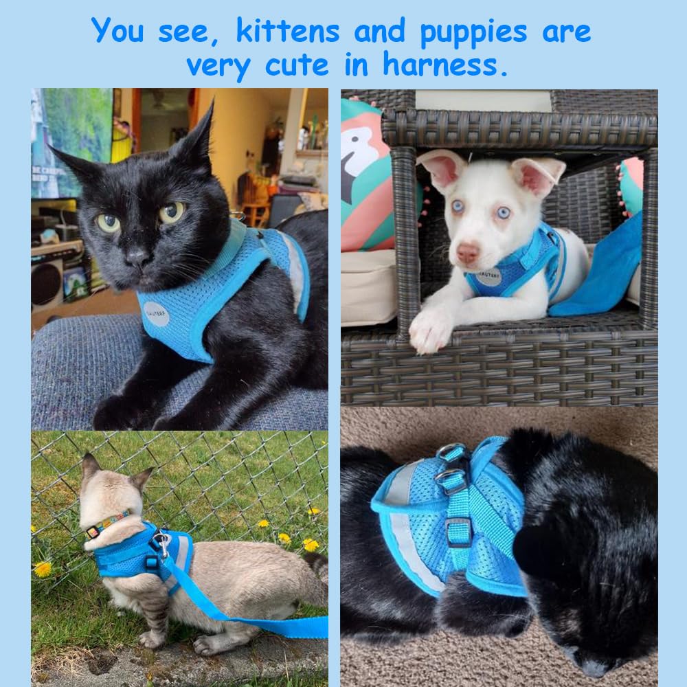 Cat Harnesses And Puppy Harness With Leashes Set, Escape Proof Cat Harness, Adjustable Reflective Soft Mesh Vest Fit Puppy Kitten Rabbit Ferrets'S Outdoor Harness