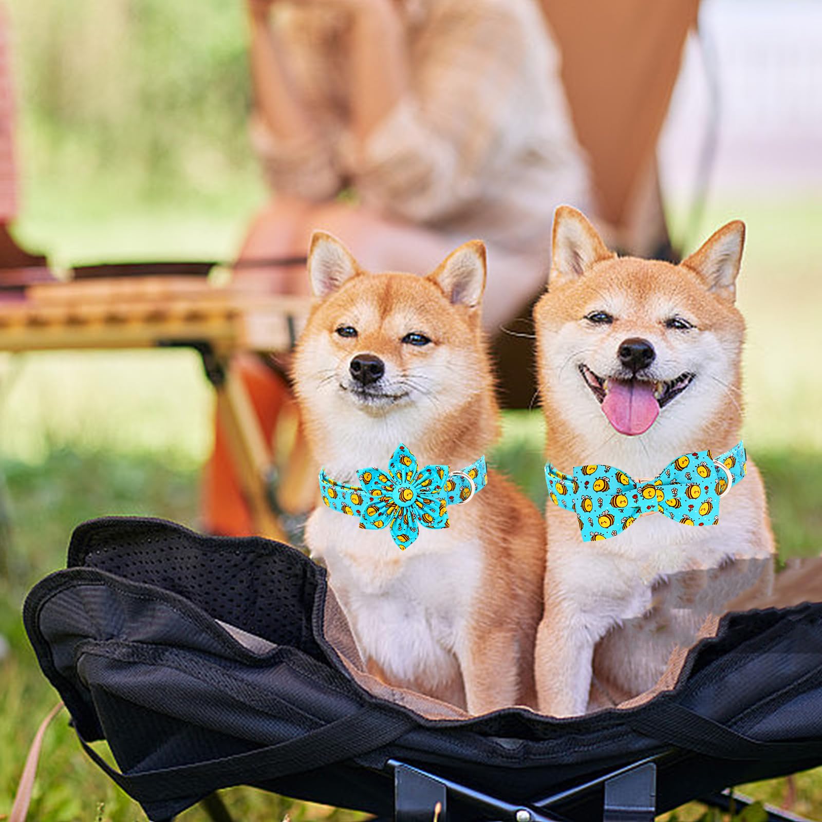 Lionheart Glory Dog Collar With Flower Dog Collar For Large Dogs, Bees Print Dog Flower Collars Spring Blue Cute Collars Pet Col