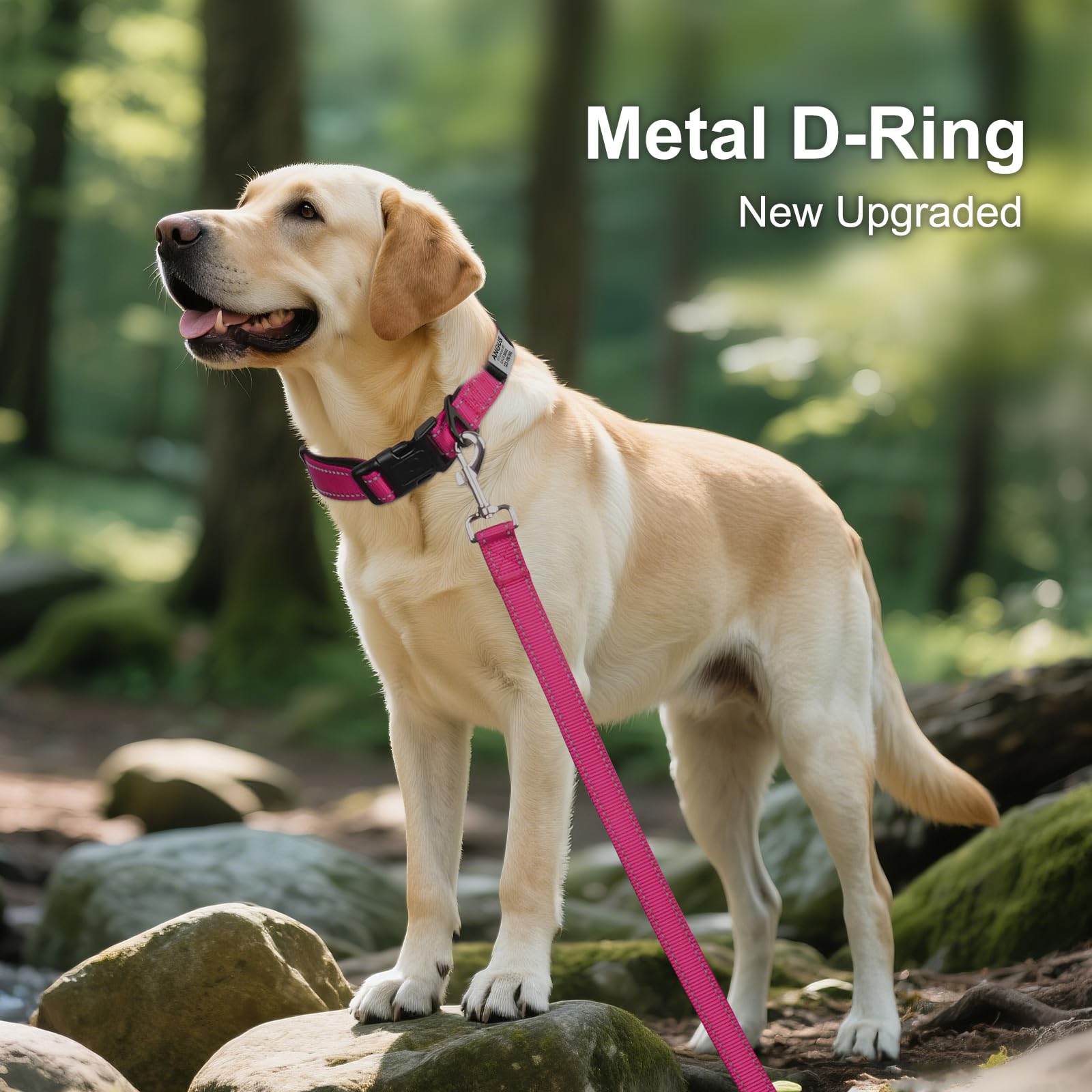 Joytale Personalized Dog Collars, Reflective Nylon Dog Collar With Engraved Name Plate, Customized For Xlarge Dogs, Hotpink, Xl