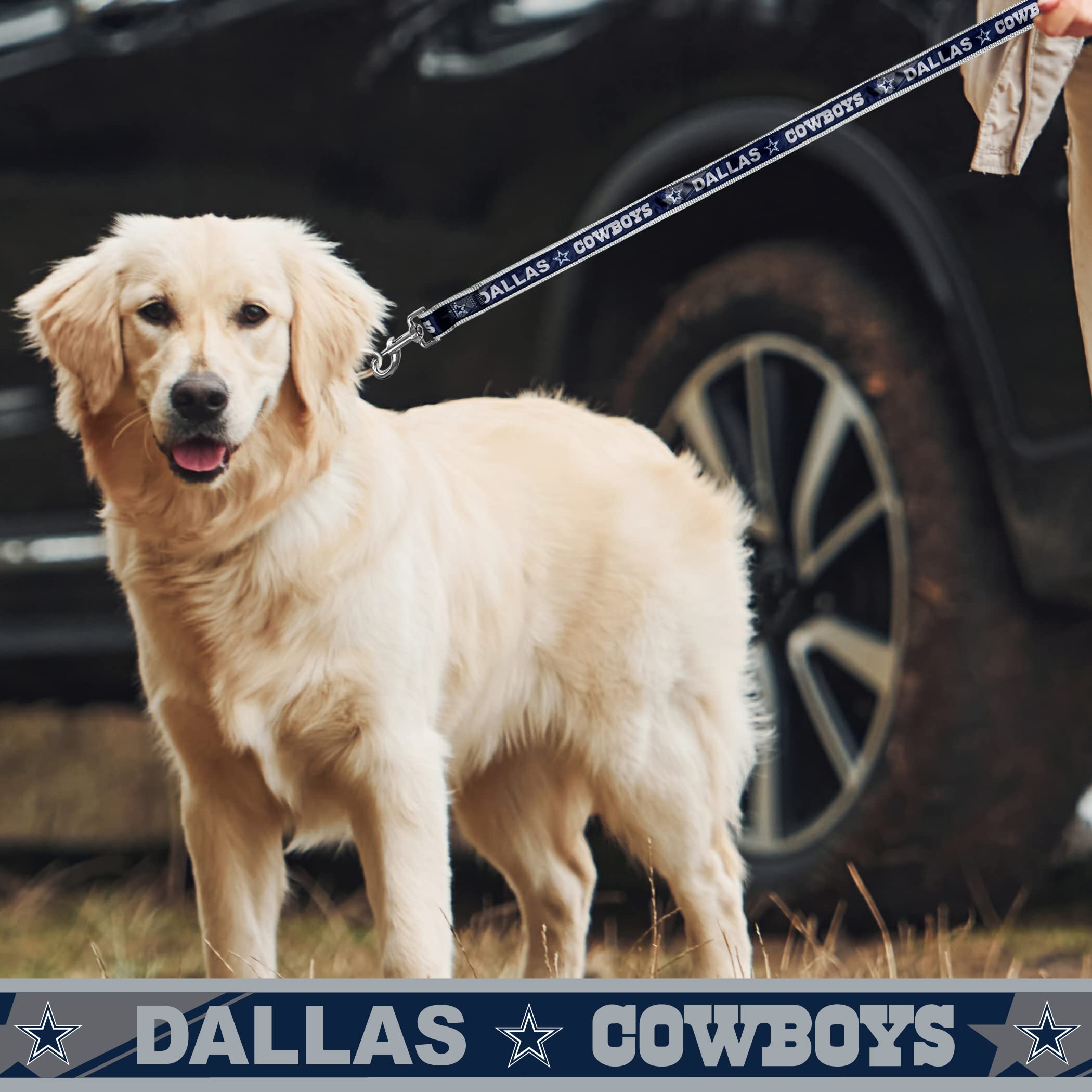 Nfl Pet Leash Dallas Cowboys Dog Leash, Large Football Team Leash For Dogs & Cats. A Shiny & Colorful Cat Leash & Dog Leash Lice
