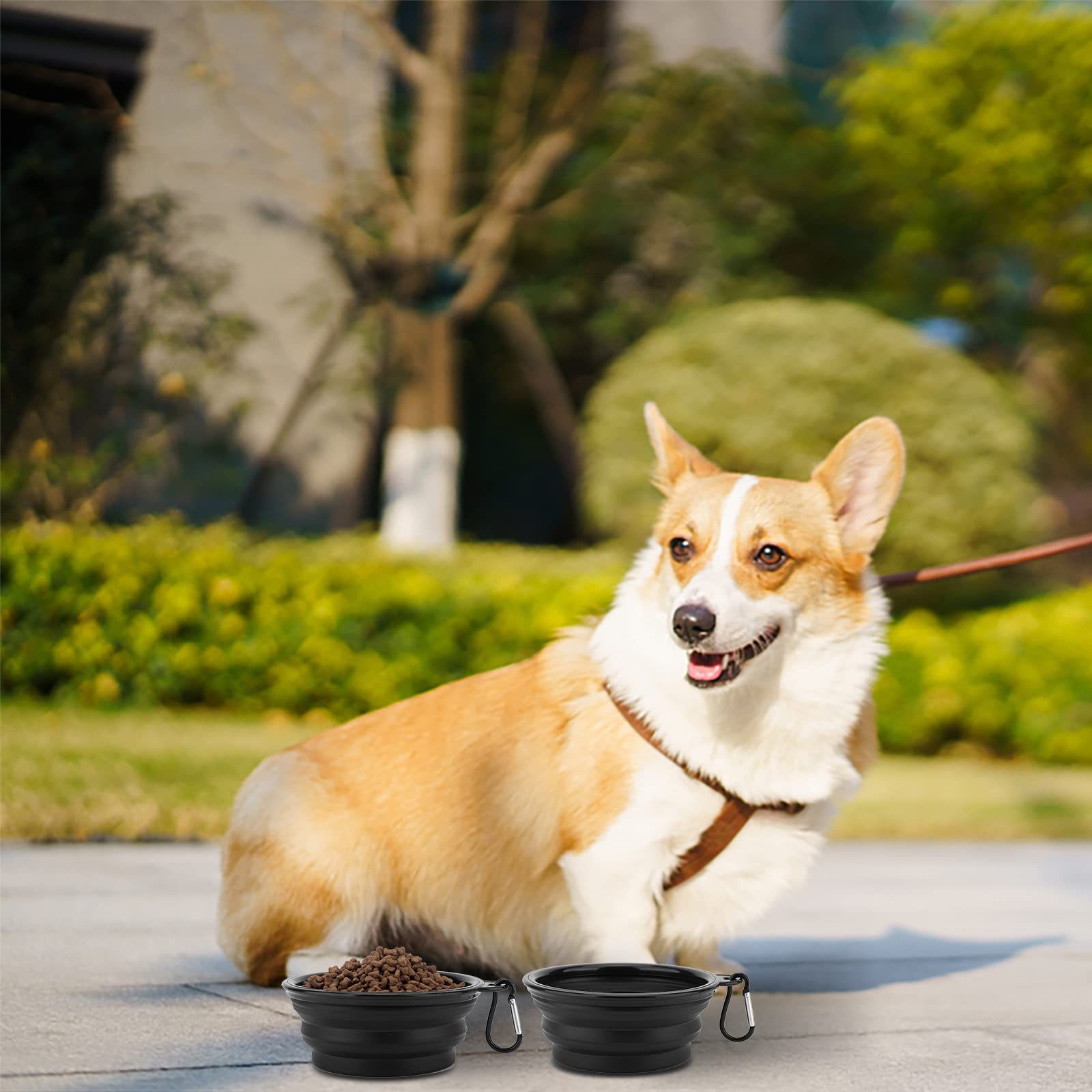 Slson Dog Bowls Pet Collapsible Bowl With Cover Lids,2 Pack Dog Travel Bowls Portable Foldable Cat Water Dish Bowl For Pets Walking Parking Camping (Black And Black, Small)