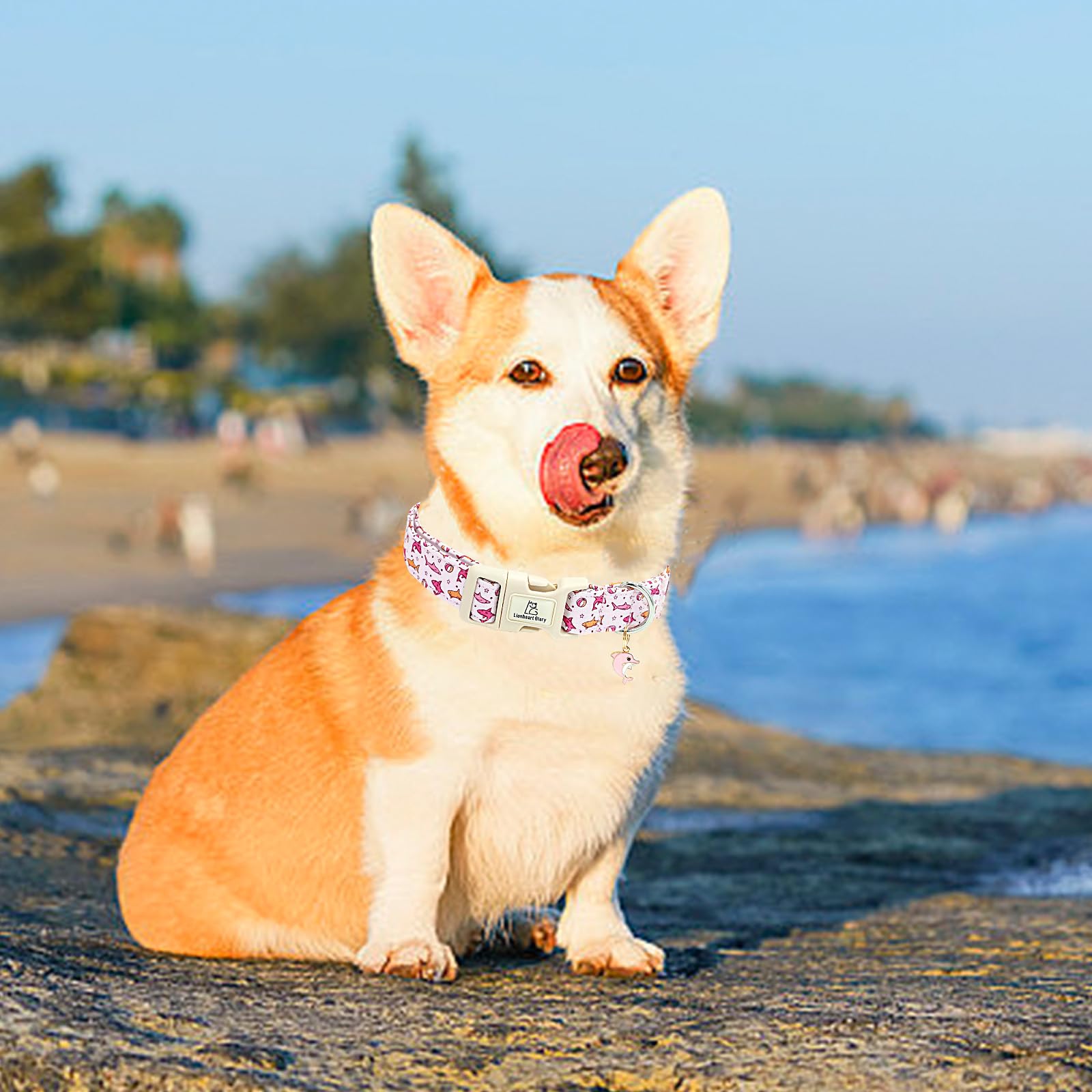 Lionheart Glory Dog Collar Shark Pattern Dog Collar Pink Dog Collars Male Or Female Spring Summer Cute Collar Pet Gift Durable A