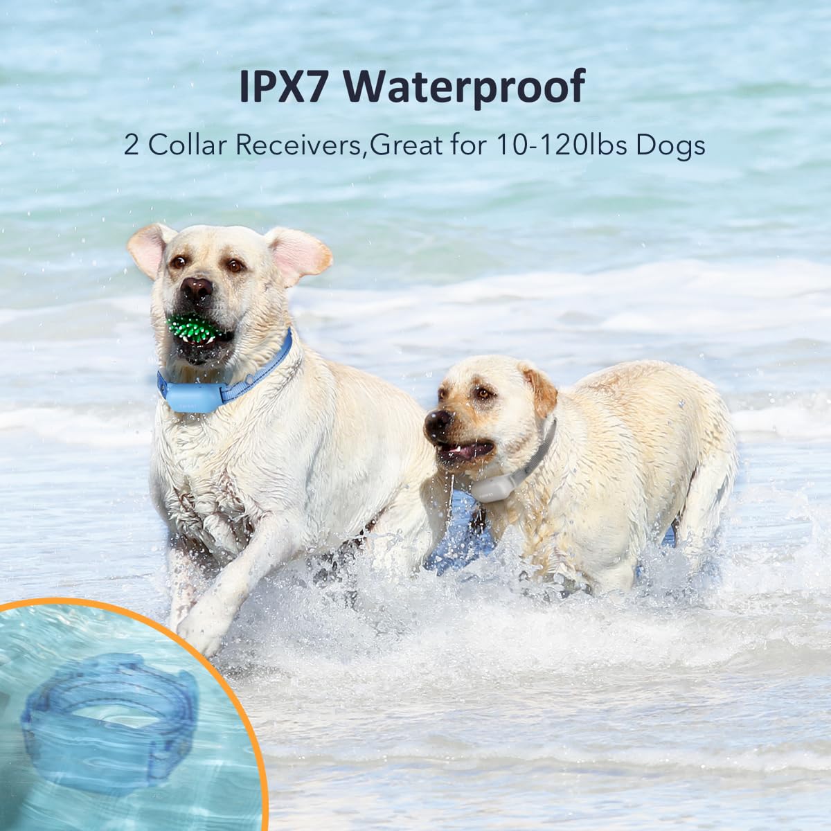Patpet Shock Collar For Dogs(10-120Lbs), 4000Ft Rechargeable Ipx7 Waterproof Training Collar With Remote For 2 Dogs- Electric Dog Collar For Small Medium Large Dogs 2 Packs