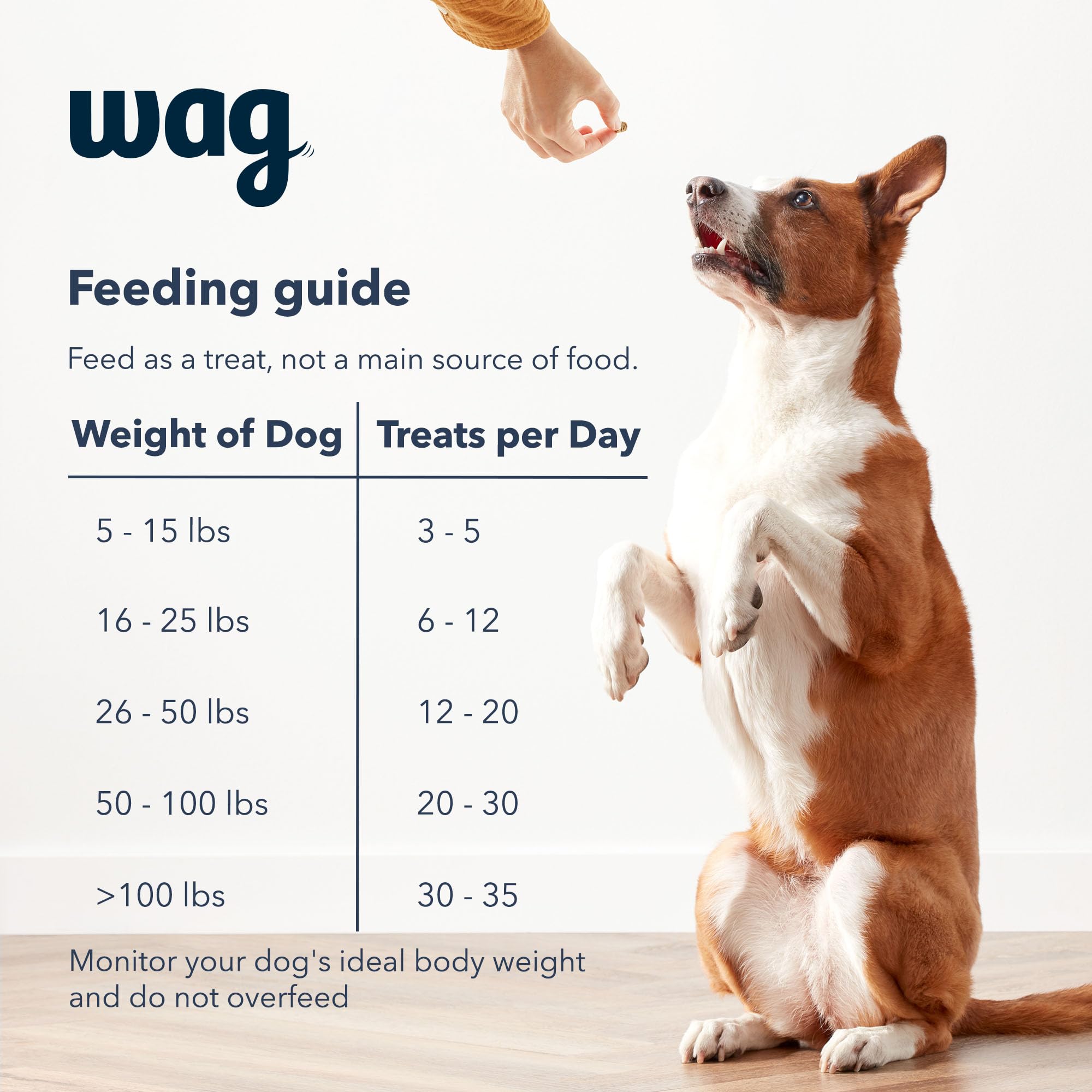Amazon Brand - Wag Chicken Flavor Training Treats for Dogs, 1 lb. Bag (16 oz)