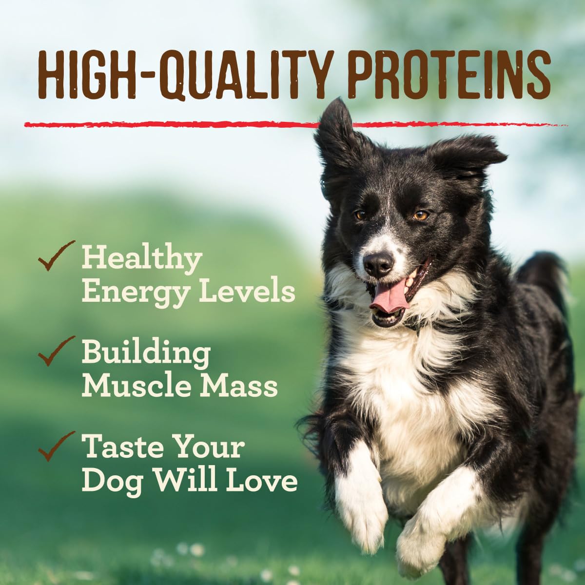 Merrick Grain Free Premium And Natural Canned Dog Food, Soft And Healthy Wet Recipe, Real Beef Lamb And Bison - (Pack of 12) 12.