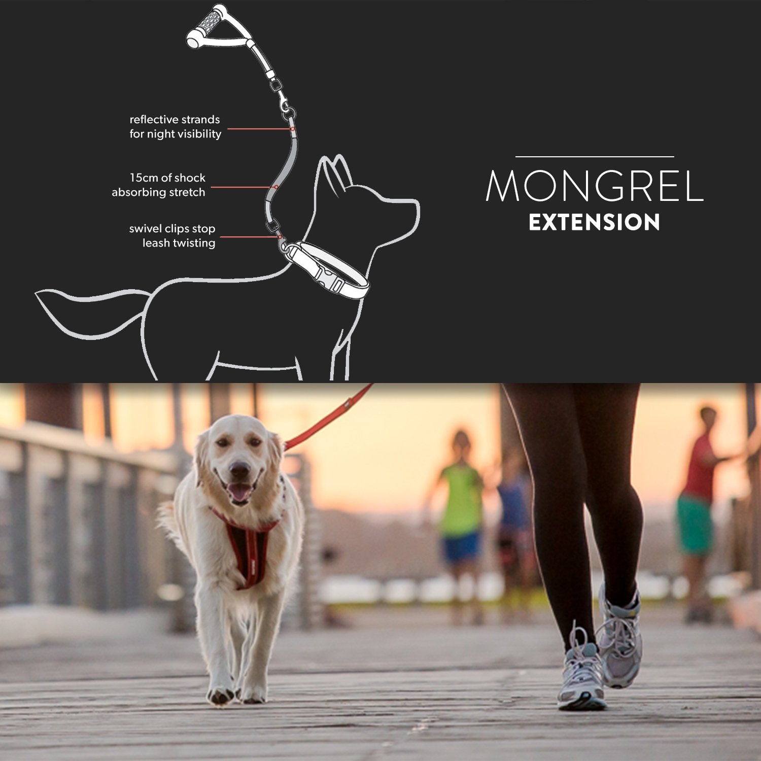 EzyDog Mongrel Bungee Dog Leash Rope Extension - 24 Inch Shock-Aborbing Leash - Works with The Mongrel Leash (Sold Separately) -