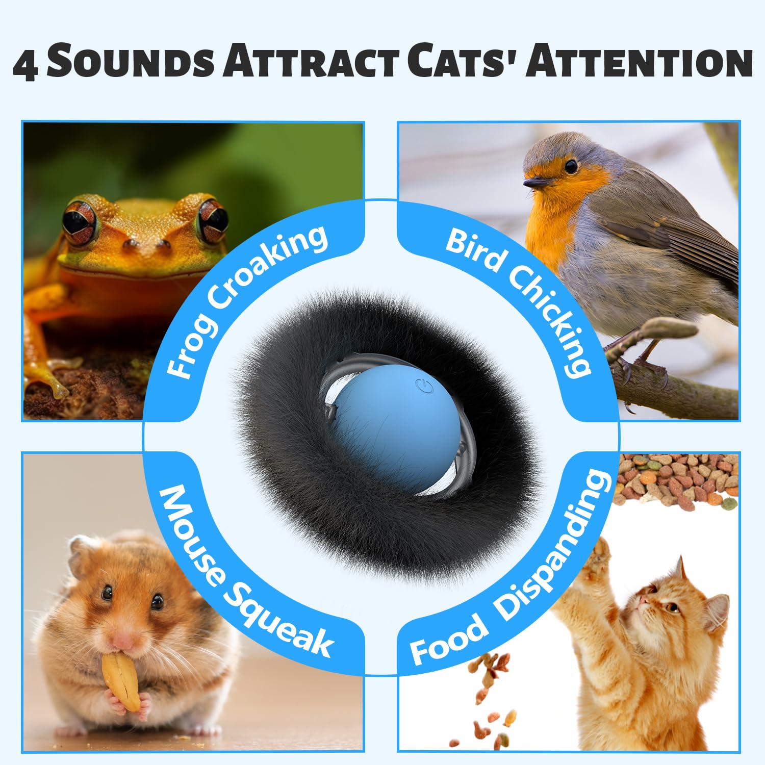 ORSDA Cat Toys, Interactive Fast Rolling Ball in Pouch, Hide and Seek for Indoor Cats, Motion Chirping Activated Moving Ball, 7