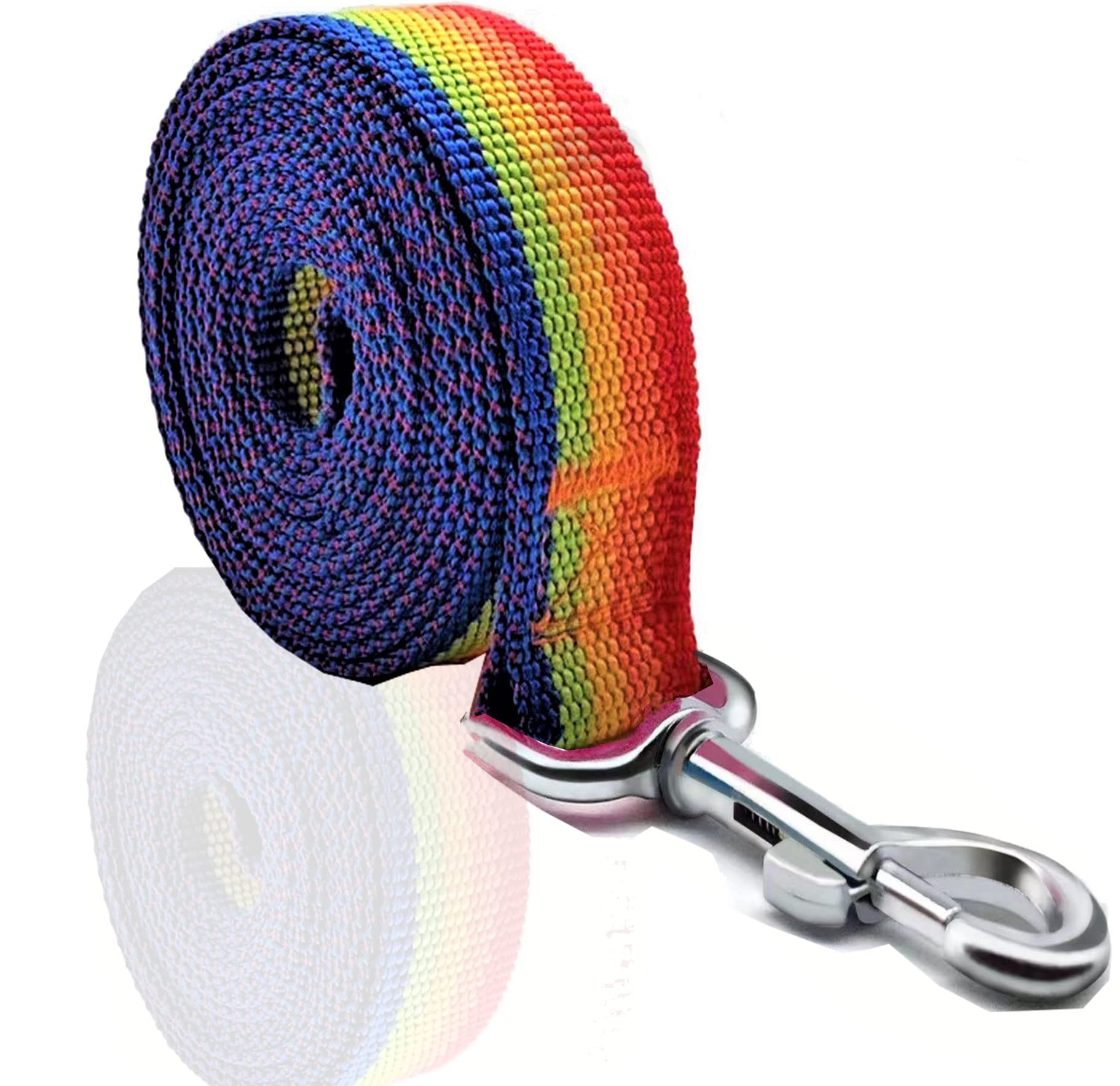 Nylon Dog Leash 4 Ft 5 Feet 6 Foot Long, Walking Training Dog Leashes For Medium Large Dogs, 1 Inch Wide (1'' X 5 Ft, Rainbow)