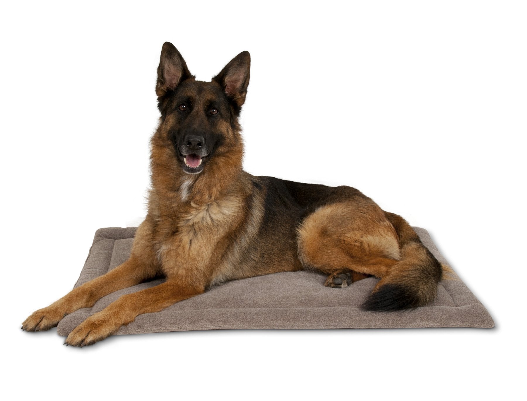 Petmate Rectangular Kennel Mat, Dark Gray, for 48 Crates