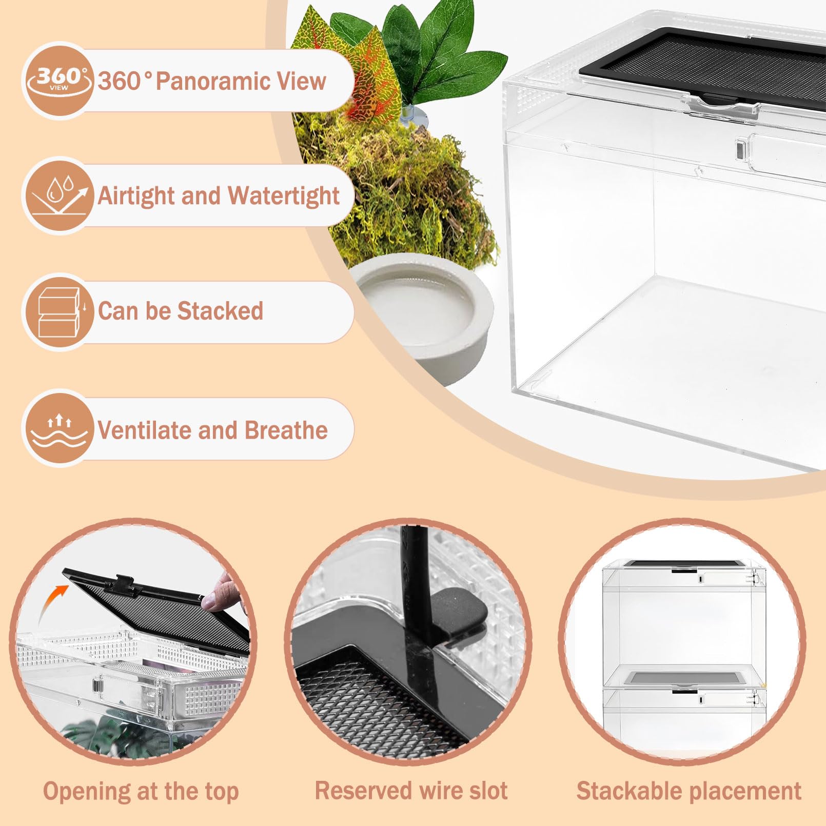 Acsist Reptile Terrarium, Jumping Spider Enclosure Starter Kit, Leopard Gecko Habitat Container, 8''X8''X6''Reptile Tank For Tar