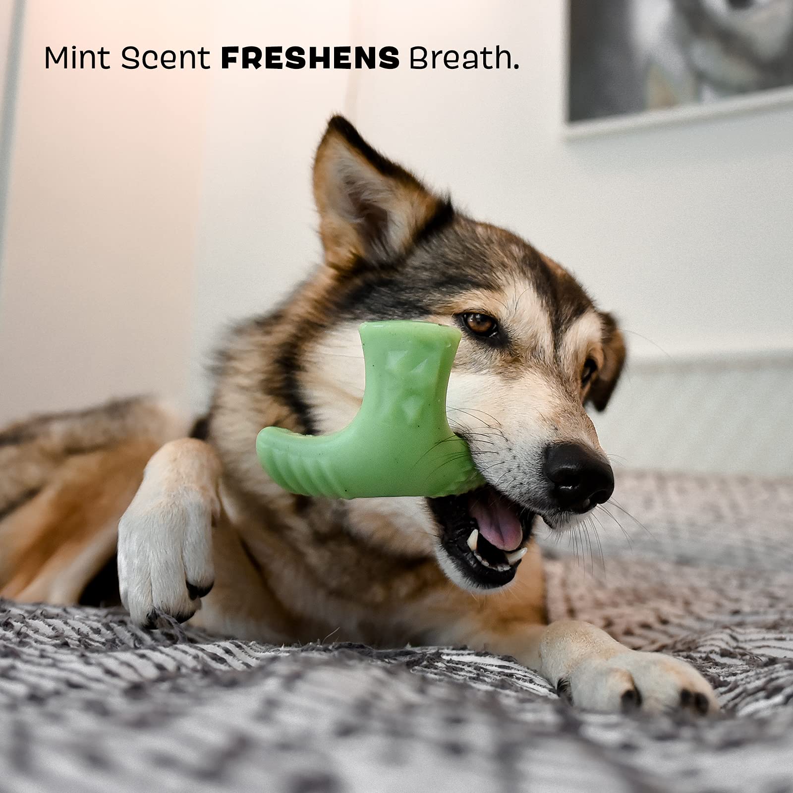 Barkbox Super Chewer Tough Dog Chew Toys For Aggressive Chewers, Dental Stimulating (Chopper - Small)