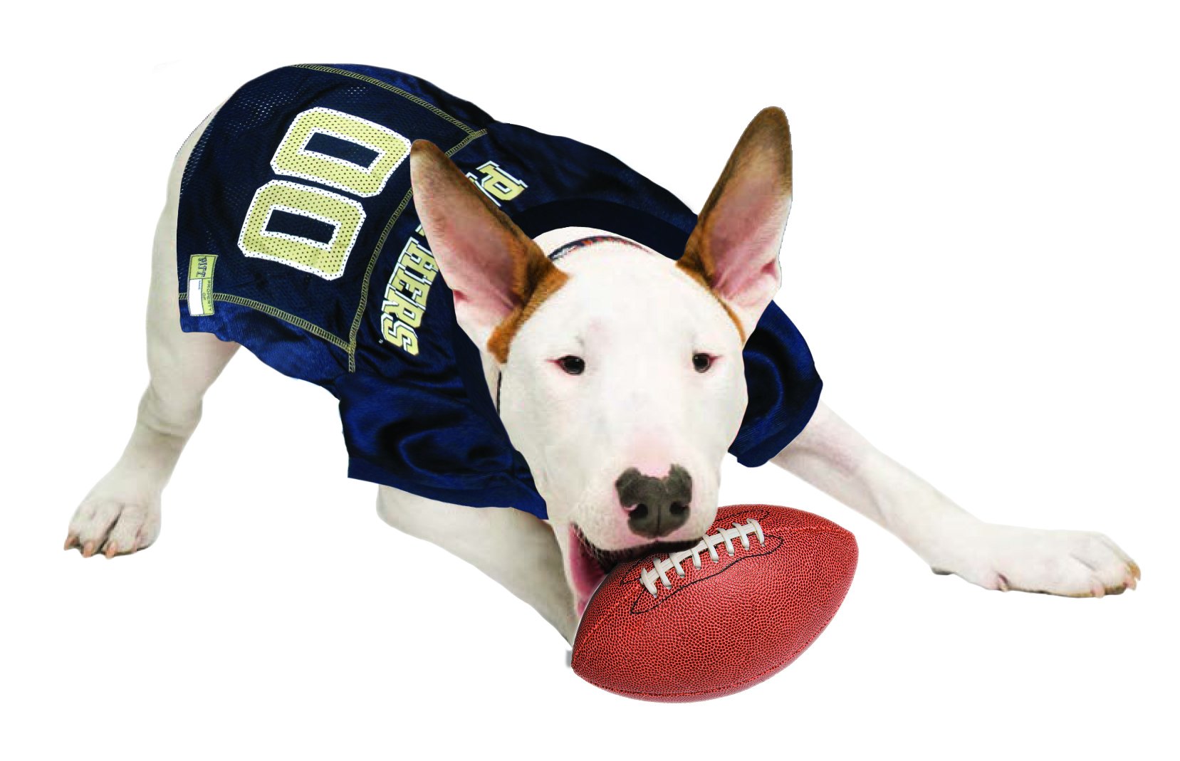 Pets First NCAA College Pittsburgh Panthers Mesh Jersey for DOGS & CATS, Large. Licensed Dog Jersey with your Favorite Football/