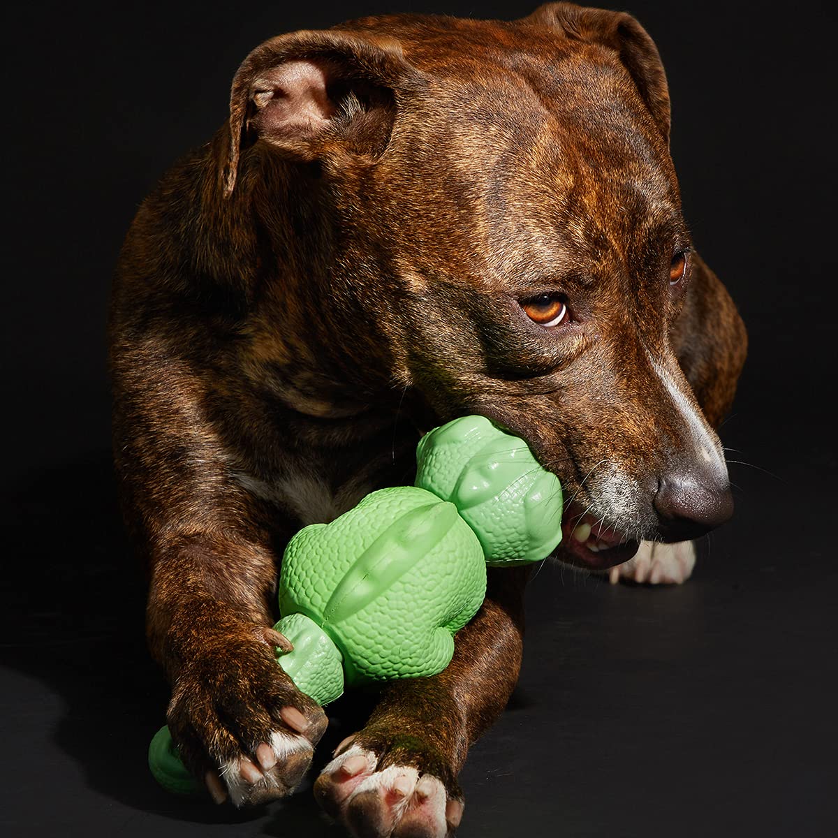 Barkbox Super Chewer Tough Dog Chew Toys For Aggressive Chewers, Dental Stimulating (Iguana - Large)