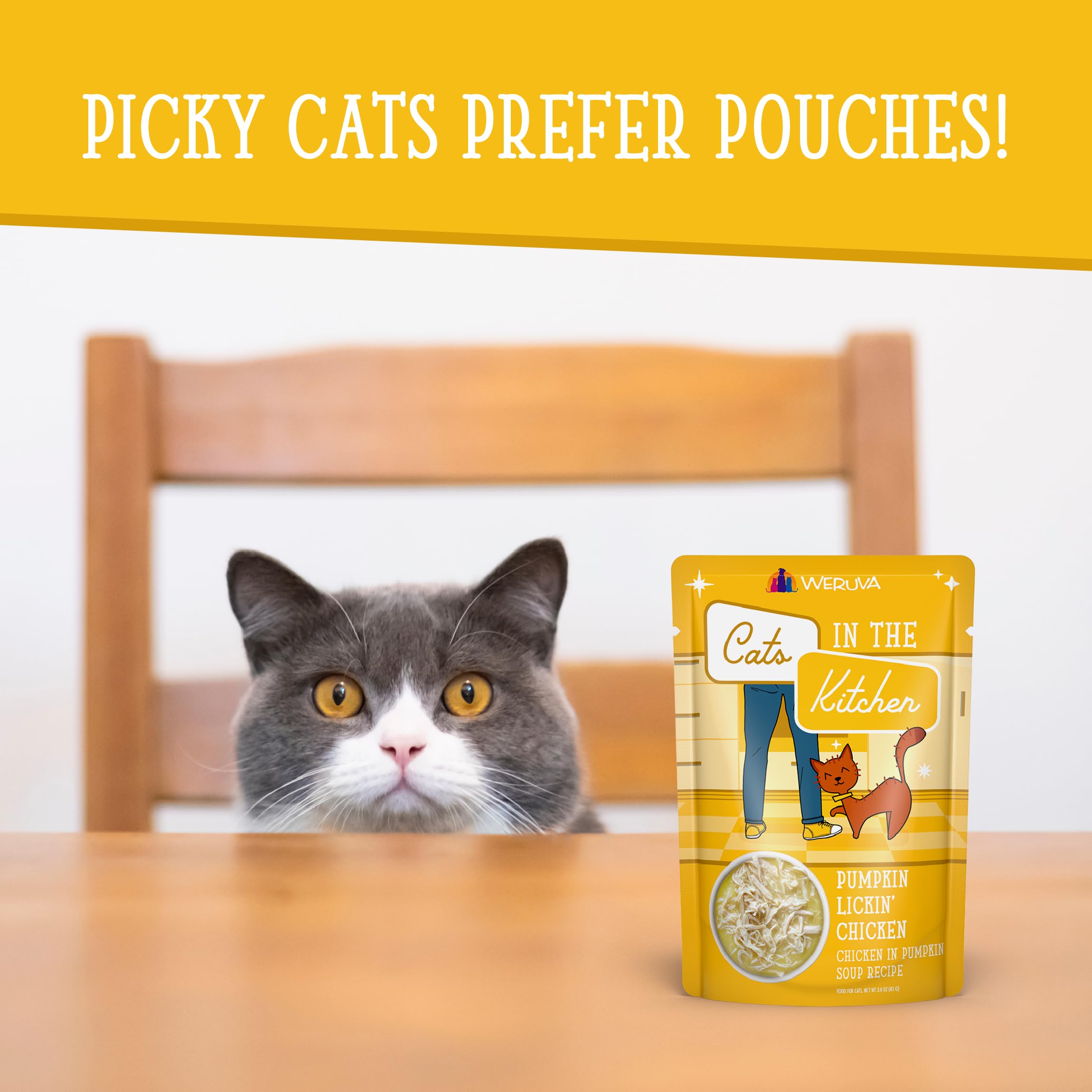 Weruva Cats in The Kitchen, Pumpkin Lickin Chicken with Chicken Breast in Pumpkin Soup Cat Food, 3oz Pouch (Pack of 12)