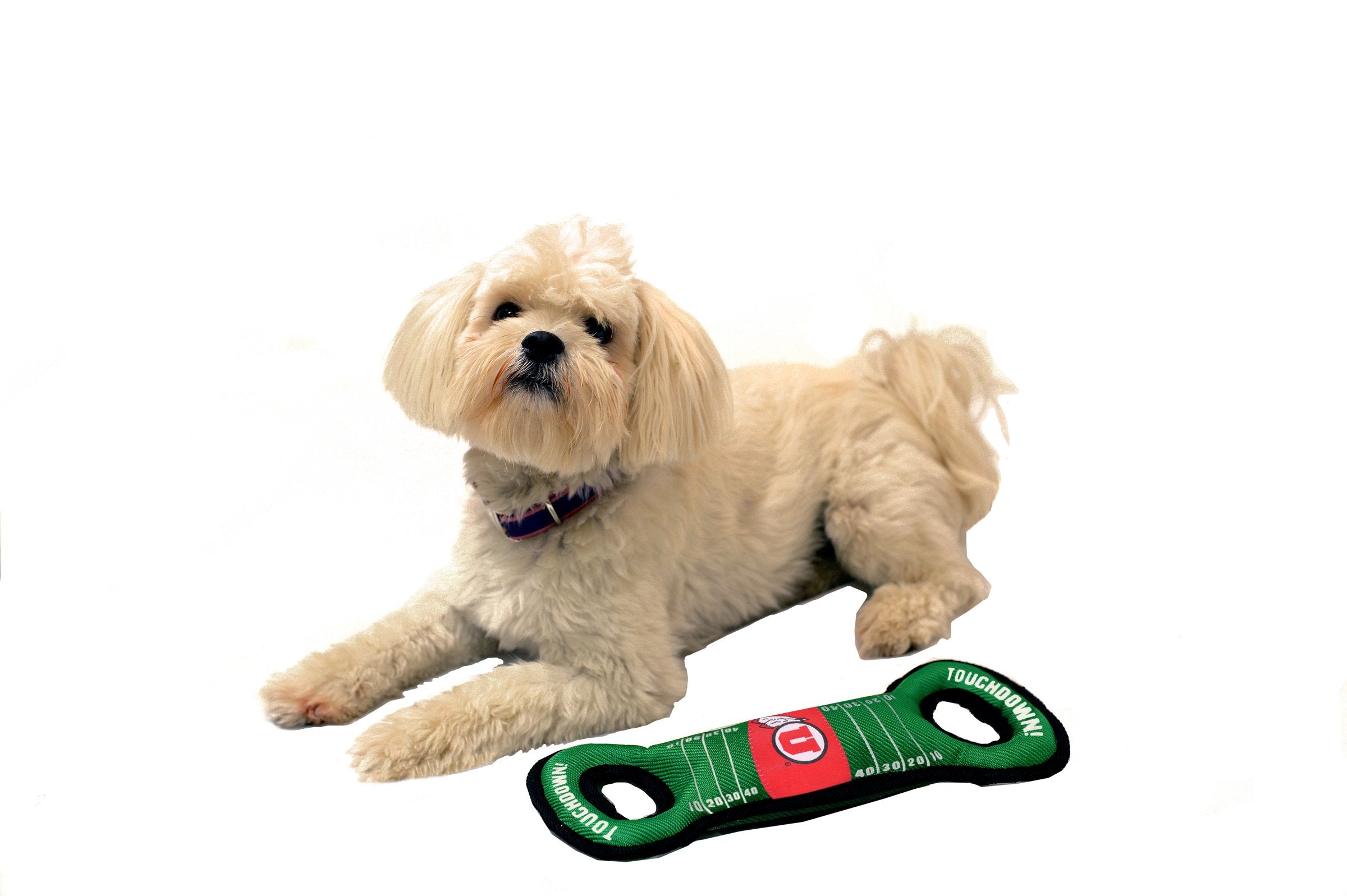 Pets First Ncaa Football Field Dog Toy With Squeaker. - Utah Utes - For Tug, Toss, And Fetch. - Tough & Durable Pet Toy, 1 Count