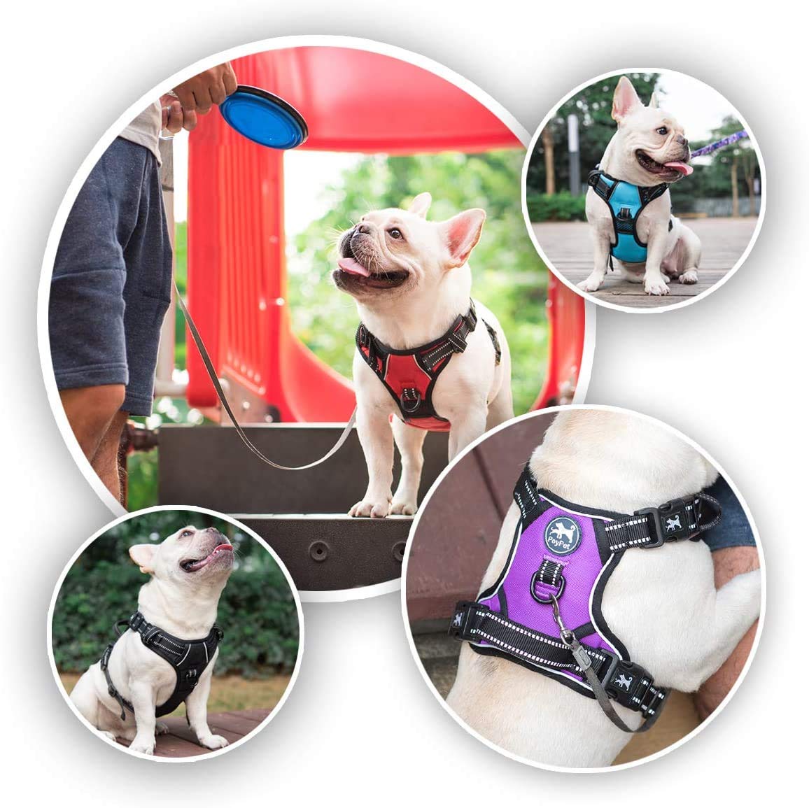 Poypet No Pull Dog Harness With 4 Snap Buckles, Reflective With Front & Back 2 Leash Hooks And An Easy Control Handle [No Need Go Over Dog’S Head](Mint Blue,M)
