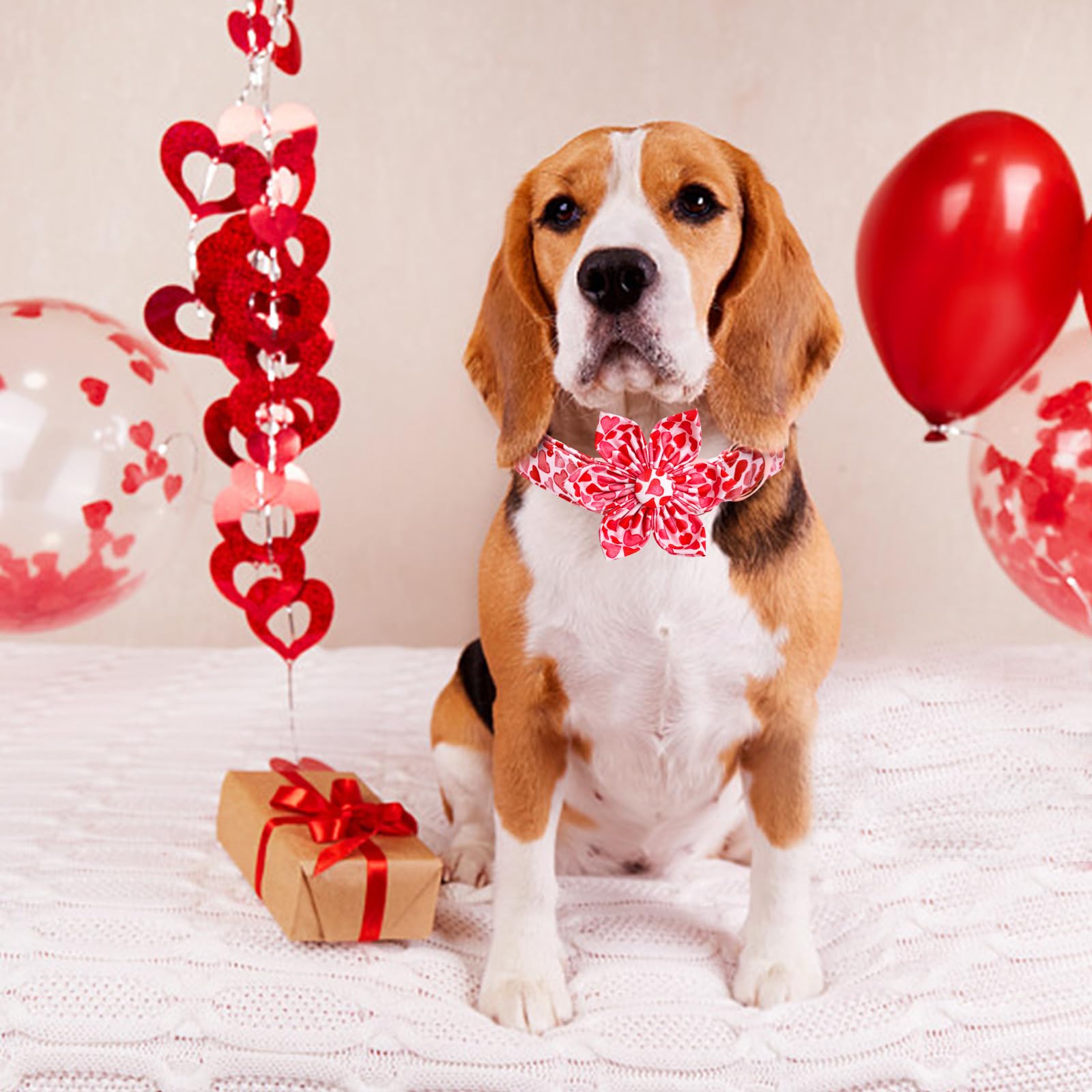Lionheart Glory Valentine'S Day Collar With Flower, Hearts, Bows For X-Large Dogs