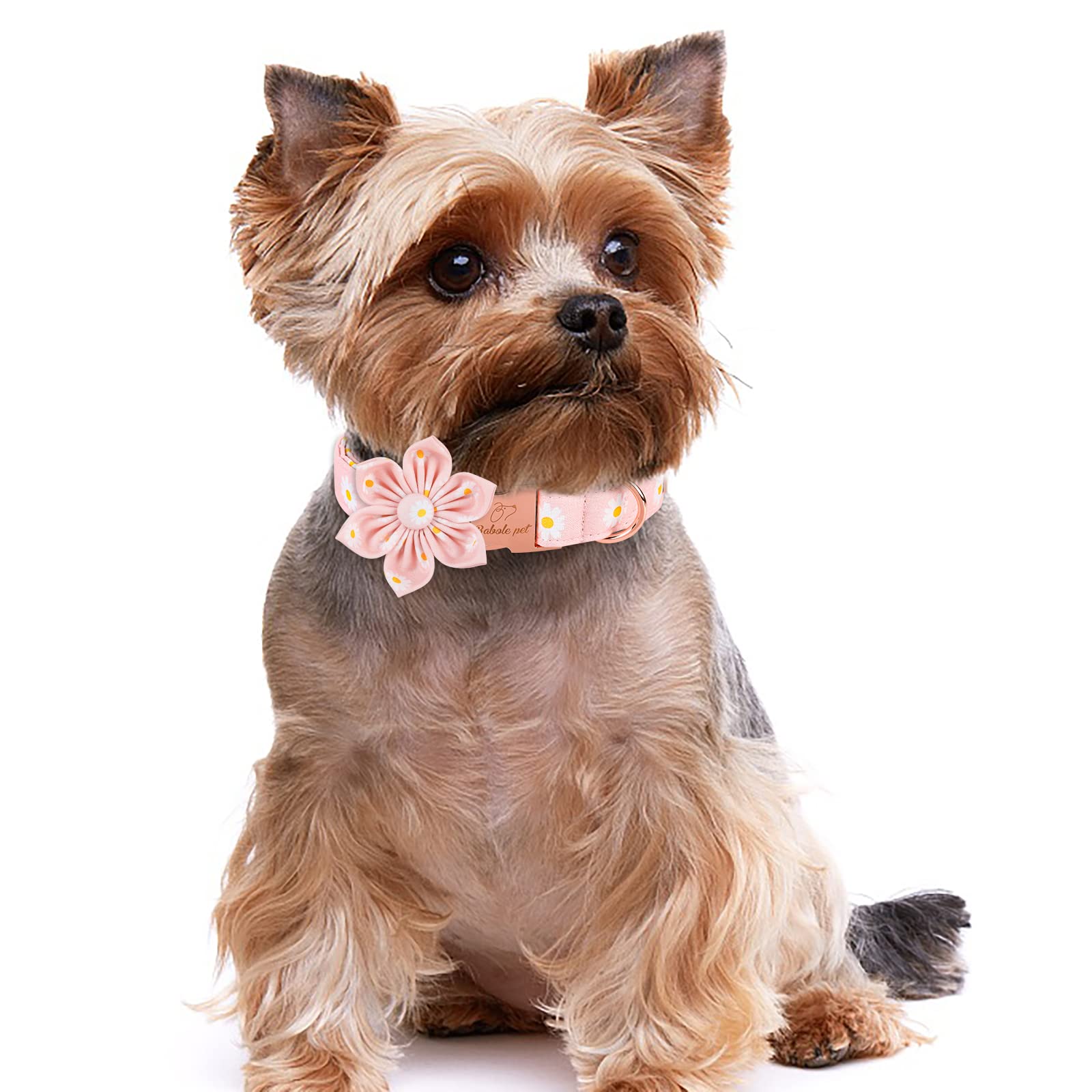 Babole Pet Dog Collar With Pink Daisy Flower Tie,Cotton Dog Collar With Safety Metal Buckle Adjustable Puppy Collars For Small Medium Large Boy&Girl Dog,Small,Neck 10'-16'