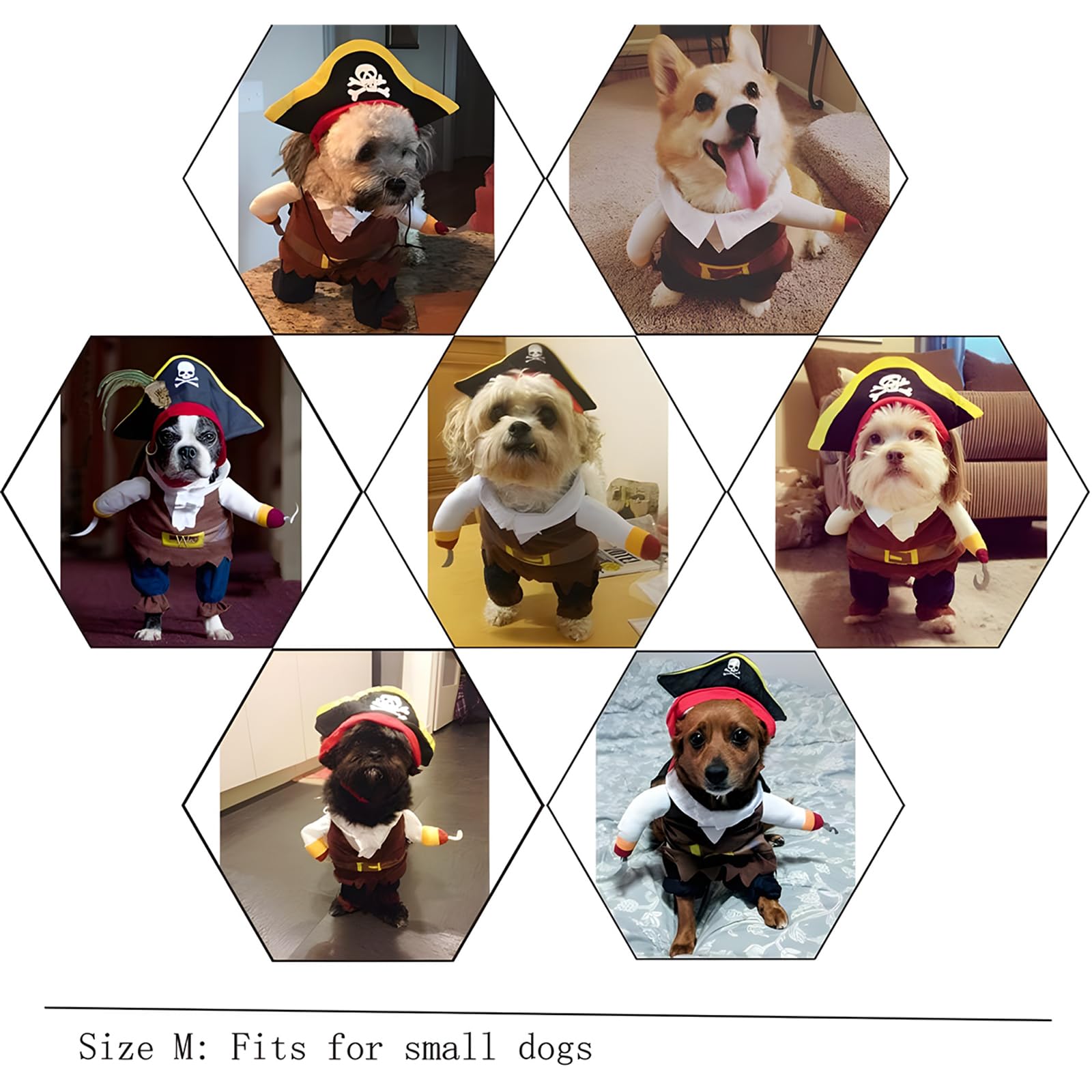 Nacoco Pet Dog Costume Pirates Of The Caribbean Style (Medium)