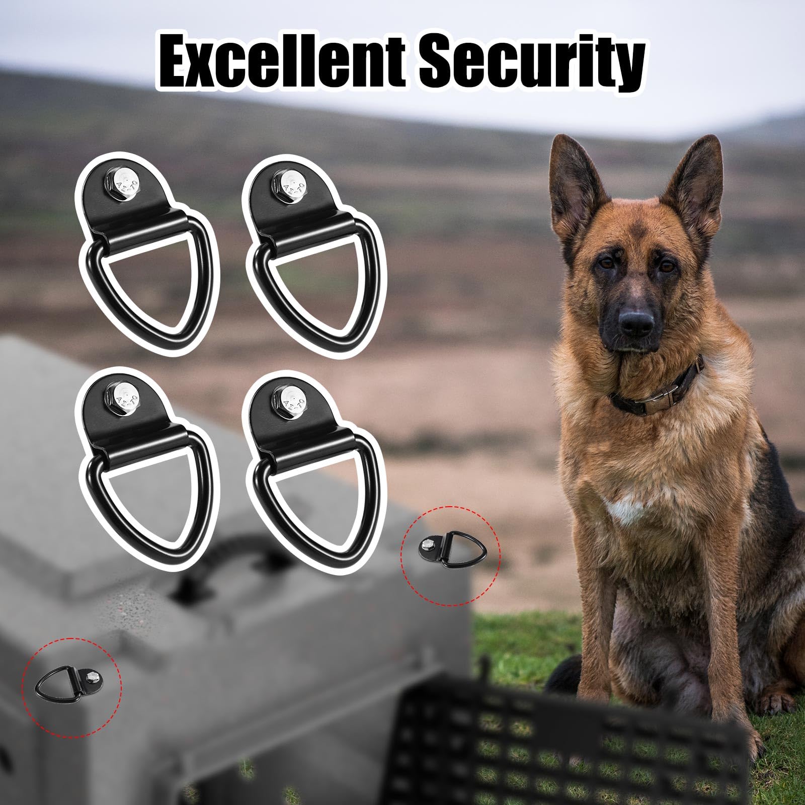 Lyreh 4Pcs Tie Down Kit For Ruffland Kennel, Metal D-Ring Tie Down Anchors Kennel Parts Including Bolts Washers & Wrench Dog Cra