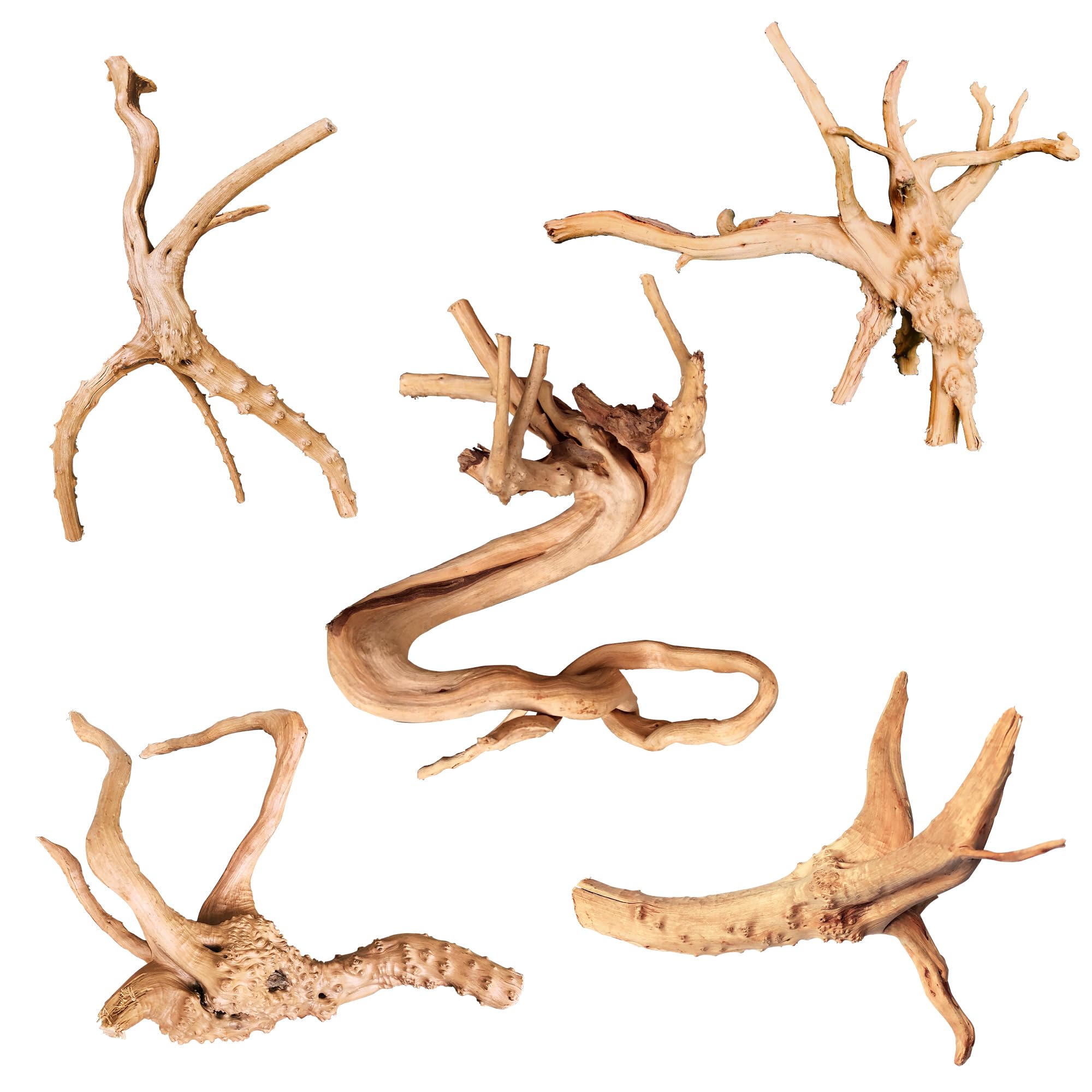 Majoywoo Natural Driftwood For Aquarium Decor Fish Tank Decorations, Assorted Spider Wood Branch 4-8'' 5 Pcs, Reptile Decor