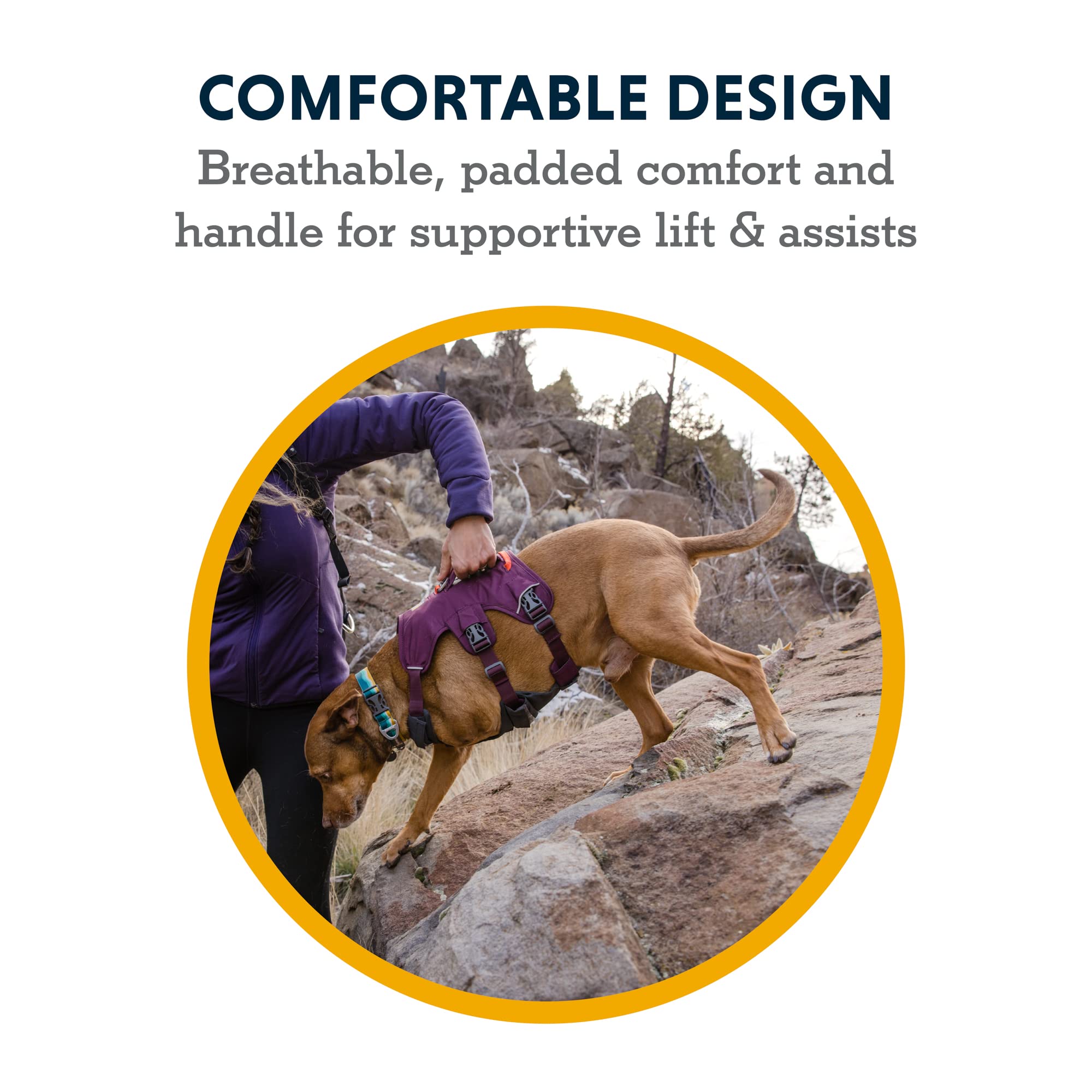 Ruffwear, Web Master, Multi-Use Support Dog Harness, Hiking and Trail Running, Service and Working, Everyday Wear, Slate Blue, M