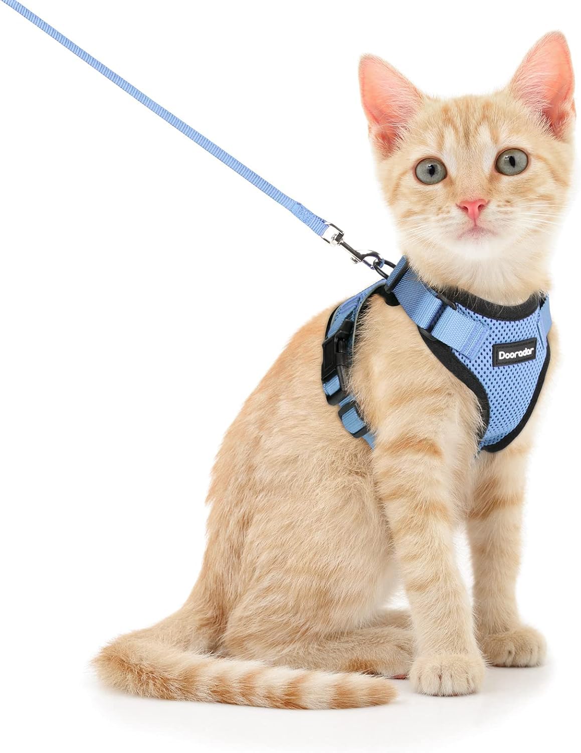 Dooradar Cat Harness And Leash Set, Escape Proof Safe Adjustable Kitten Vest Harnesses For Walking, Easy Control Soft Breathable Mesh Jacket With Reflective Strips For Cats,Light Blue, Xs