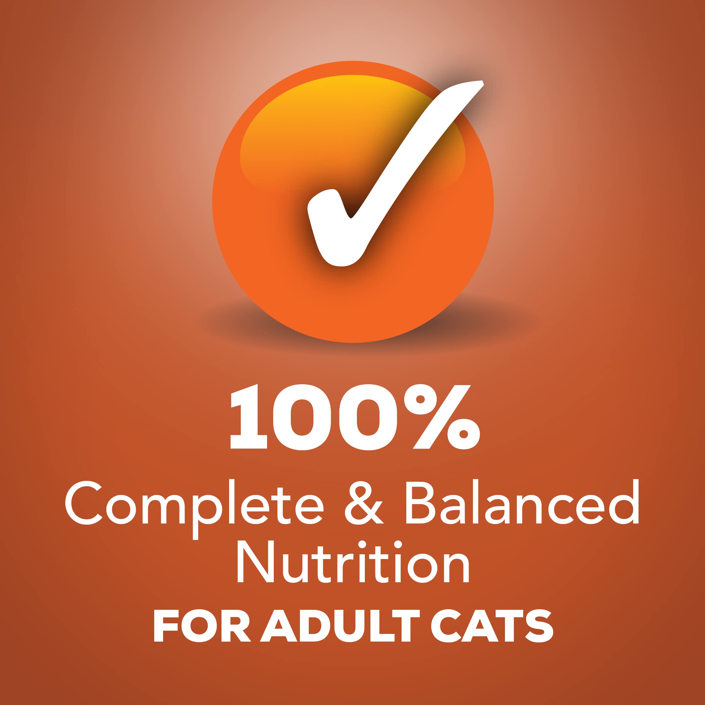 Purina Friskies Wet Cat Food, Meaty Bits Gourmet Grill in Gravy - (Pack of 24) 5.5 oz. Cans