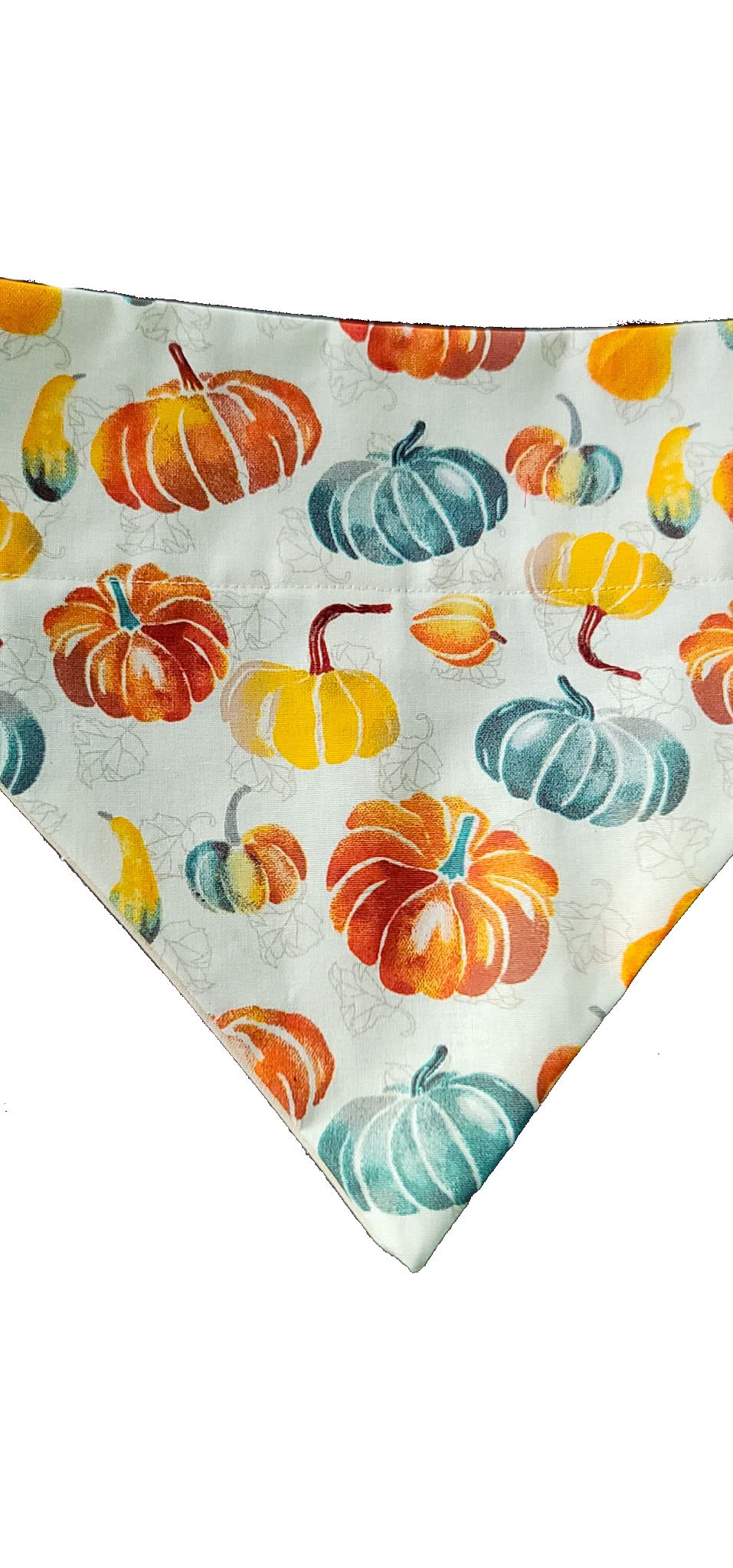 Pumpkins Over The Collar Dog Bandana That Slips Onto Their Existing Collar Size (Small)