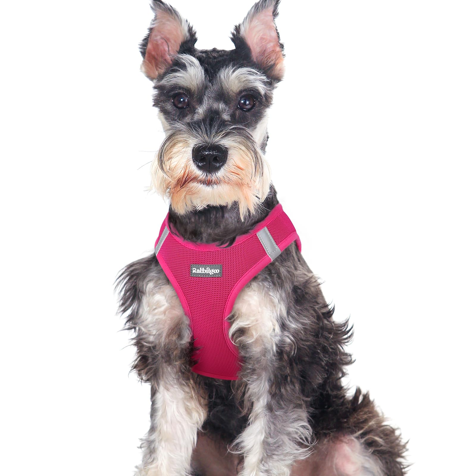 Rabbitgoo Small Dog Harness, Step-In Soft Mesh Puppy Vest, Easy Walk With Safety Buckle, Breathable Reflective Pet Harness For L