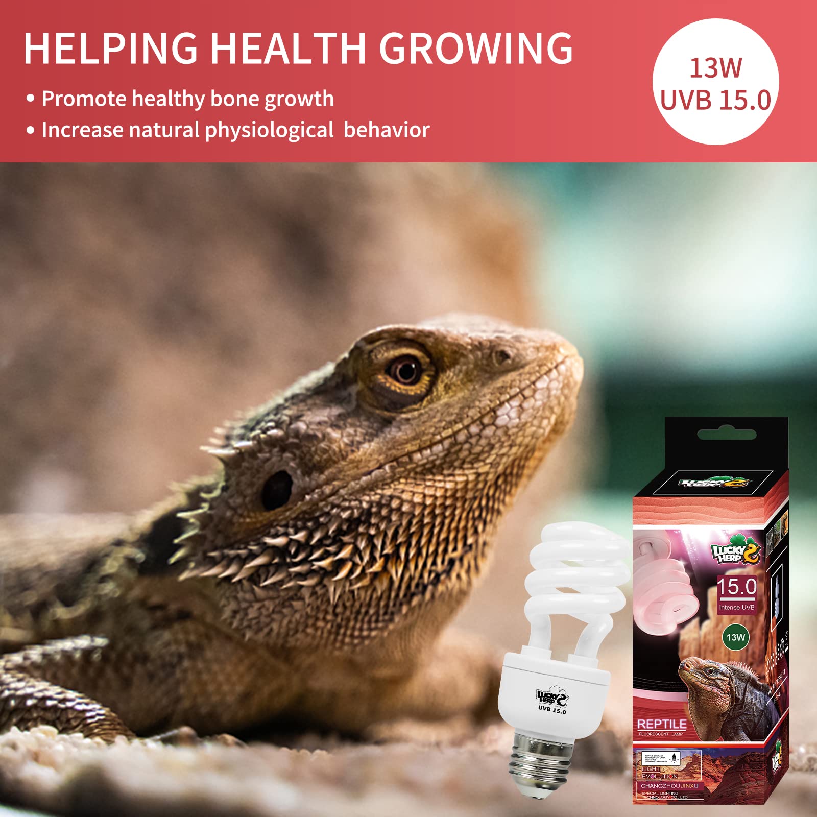Lucky Herp 13W Uvb 15.0 Intense Uva Uvb Compact Flouorescent Lamp Desert Terrarium Light Bulb For Reptile And Amphibian