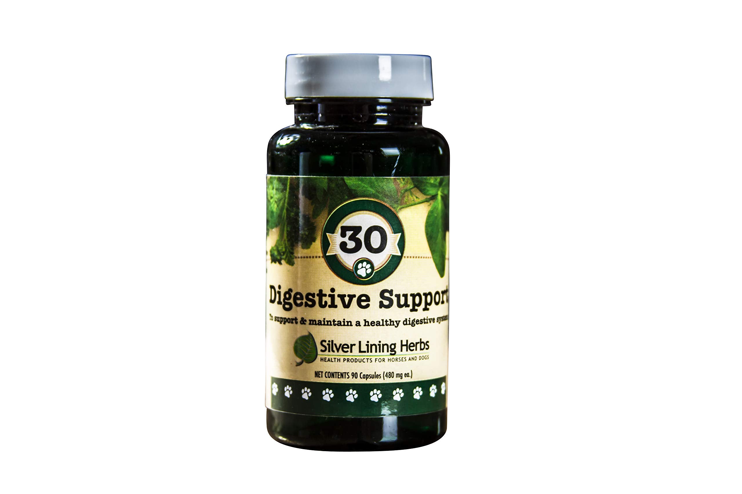 #30 DIGESTIVE SUPPORT