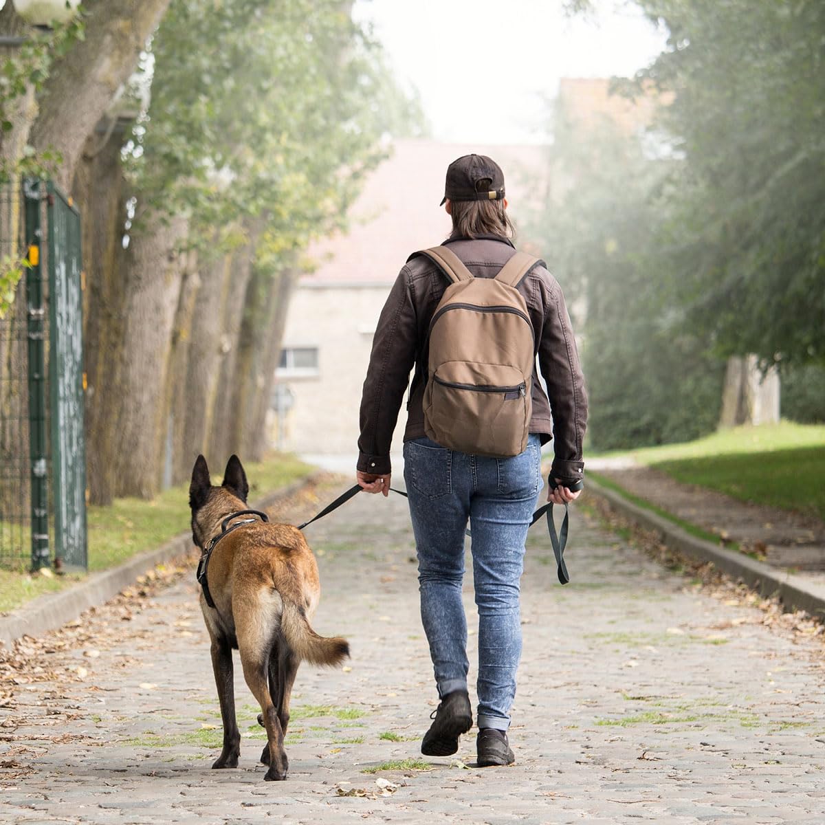 Lynxking Heavy Duty Dog Leash - 6Ft Reflective Safety Walking Lead With 2 Padded Handles For Small To Large Dogs