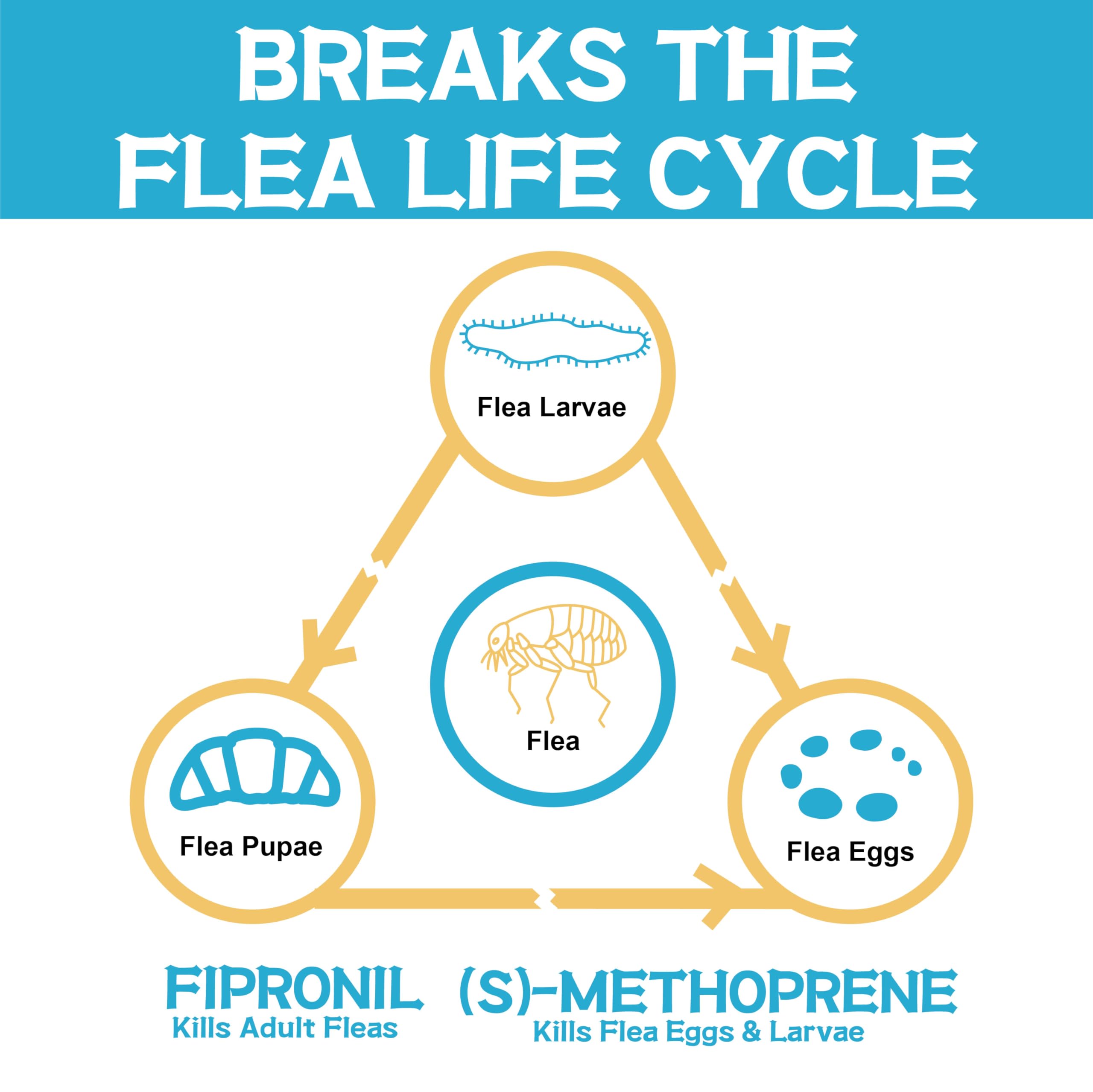 Advanllent Flea and Tick Prevention for Dogs, Flea and Tick Treatment for Large Dog, Flea & Tick Control, 45-88 Pounds, 6 Doses