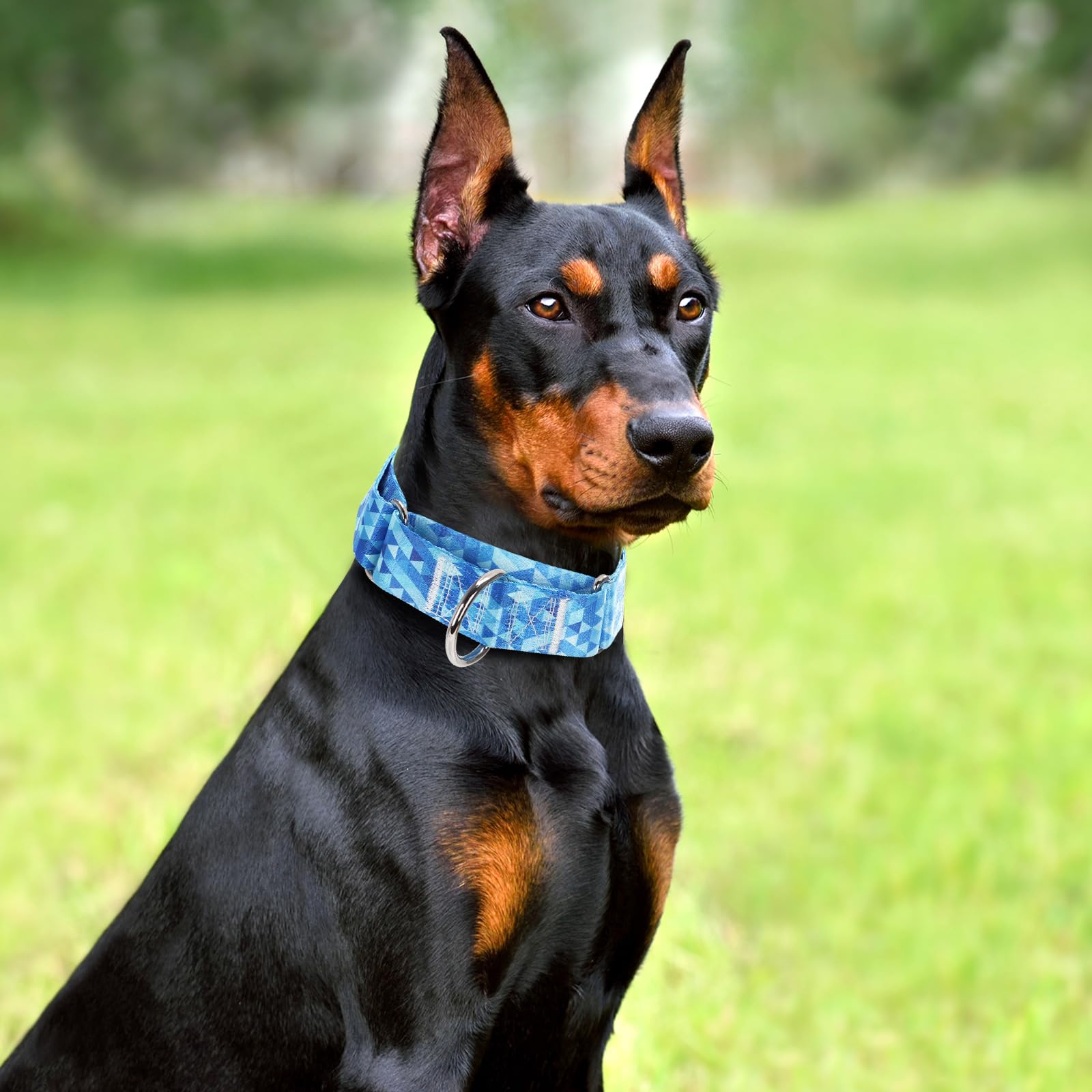 1.5 Inch Martingale Collar For Dogs, Wide,Big&Thick Dog Collar,No-Slip Escape Proof Choke No Pull Cinch Collar For Medium Large