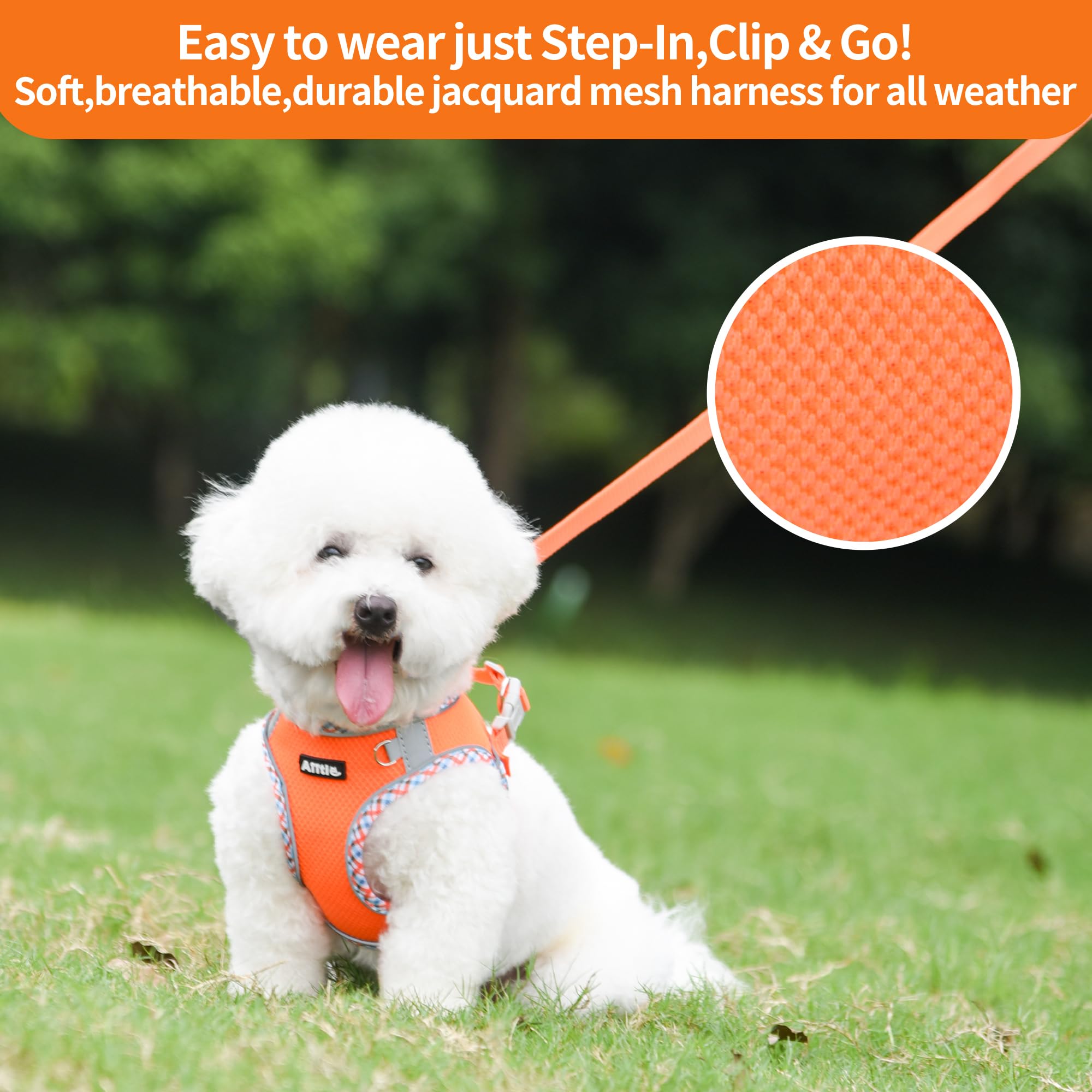Aiitle Xxs Dog Harness & Leash Set - Breathable Reflective No-Choke Small Dog Harness For Teacup Puppies, Indoor/Outdoor Use - B