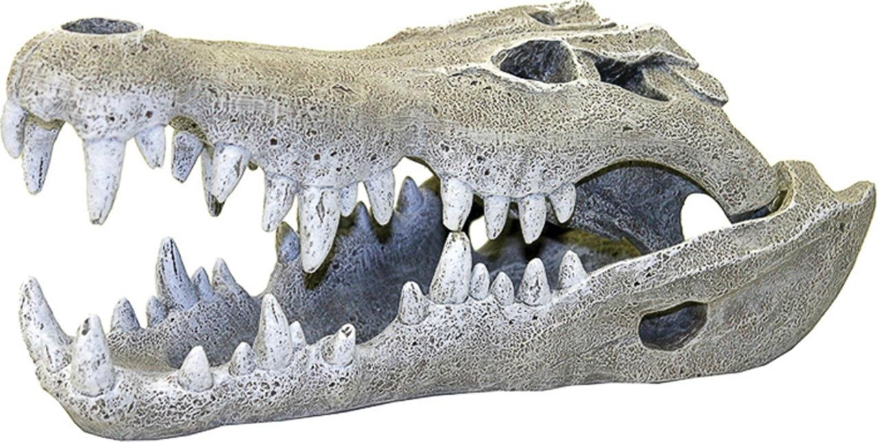 Exotic Environments Nile Crocodile Skull Aquarium Ornament, Small, 3-Inch By 6-Inch By 2-1/2-Inch