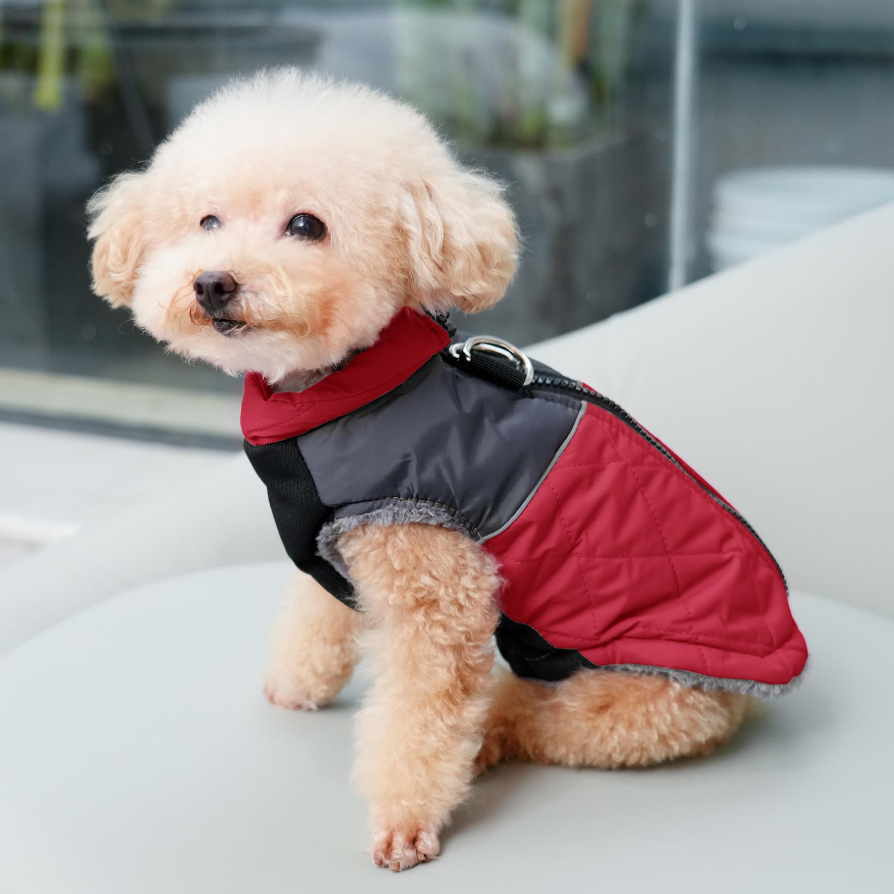 Joydaog Warm Fleece Dog Coats For Medium Dogs,D-Rings Waterproof Puppy Jacket For Cold Winter,Red L