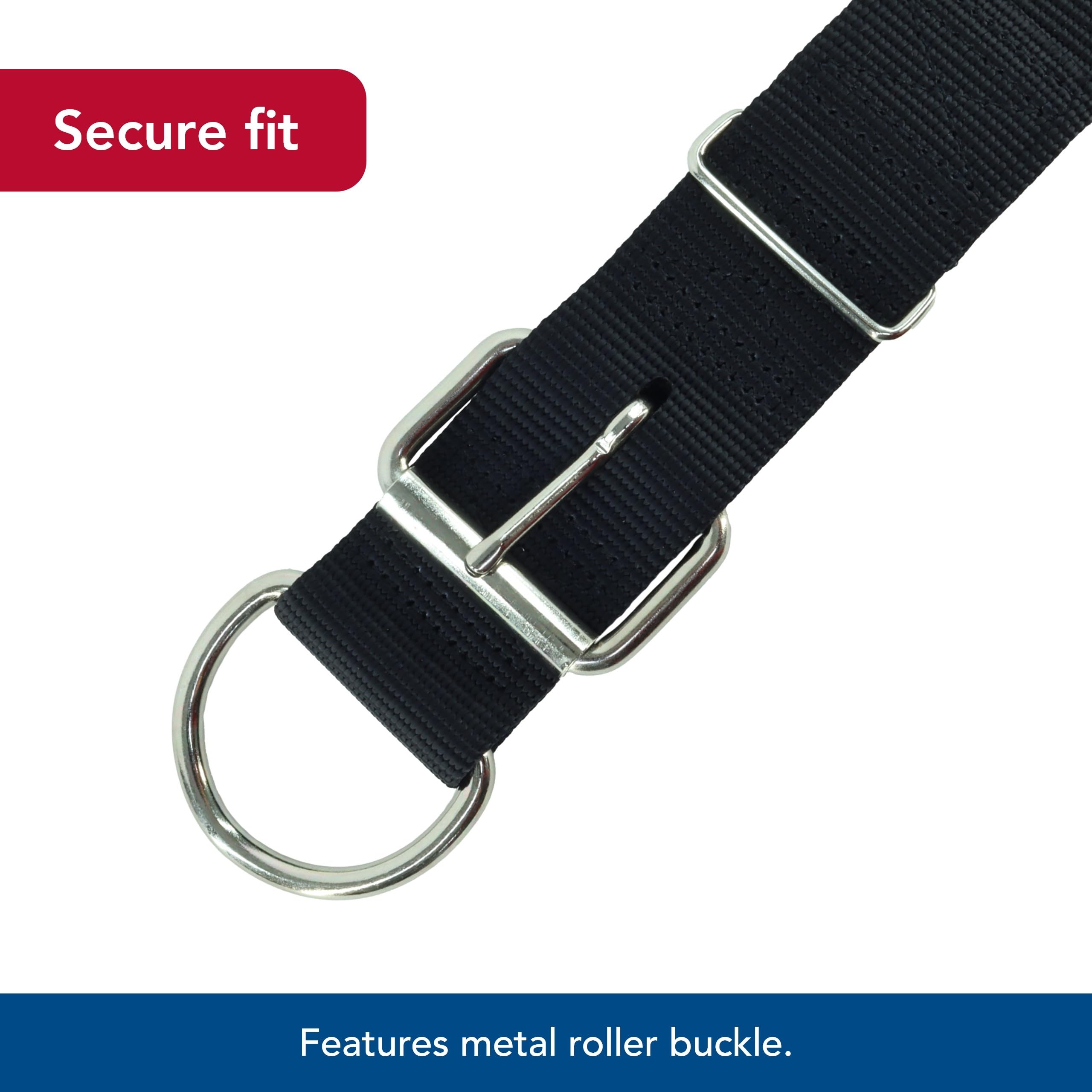 Coastal Macho Double-Ply Dog Collar - Heavy-Duty Nylon - Black - 20" - Comfortable with Roller Buckle