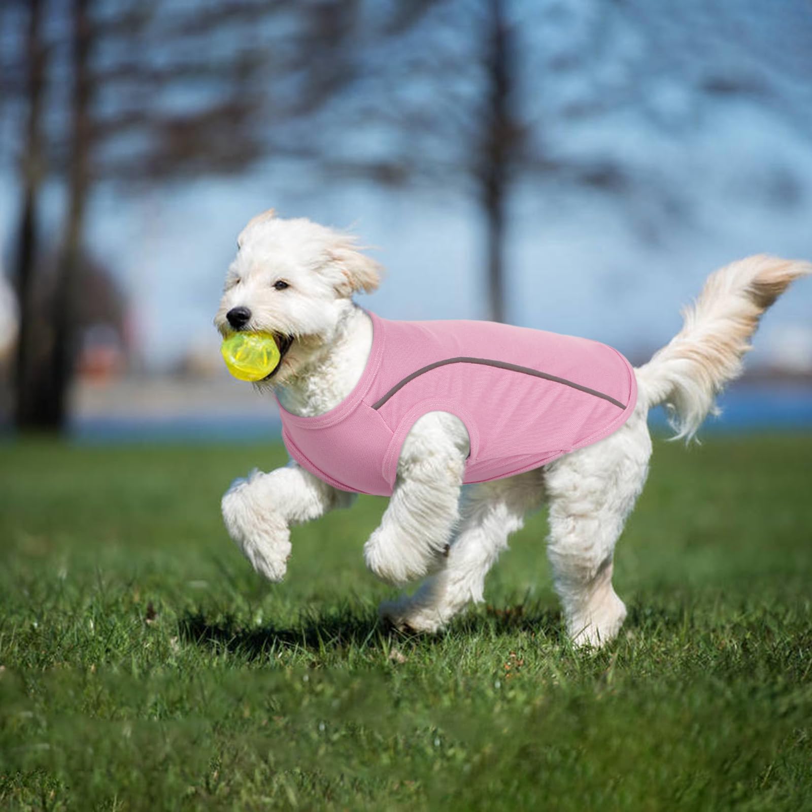 T'Chaque Dog Shirts For Extra Large Dogs 2 Pack, Xl Dog Clothes With Reflective Strips, Stretchy Pet T-Shirts, Sleeveless Dog Ve