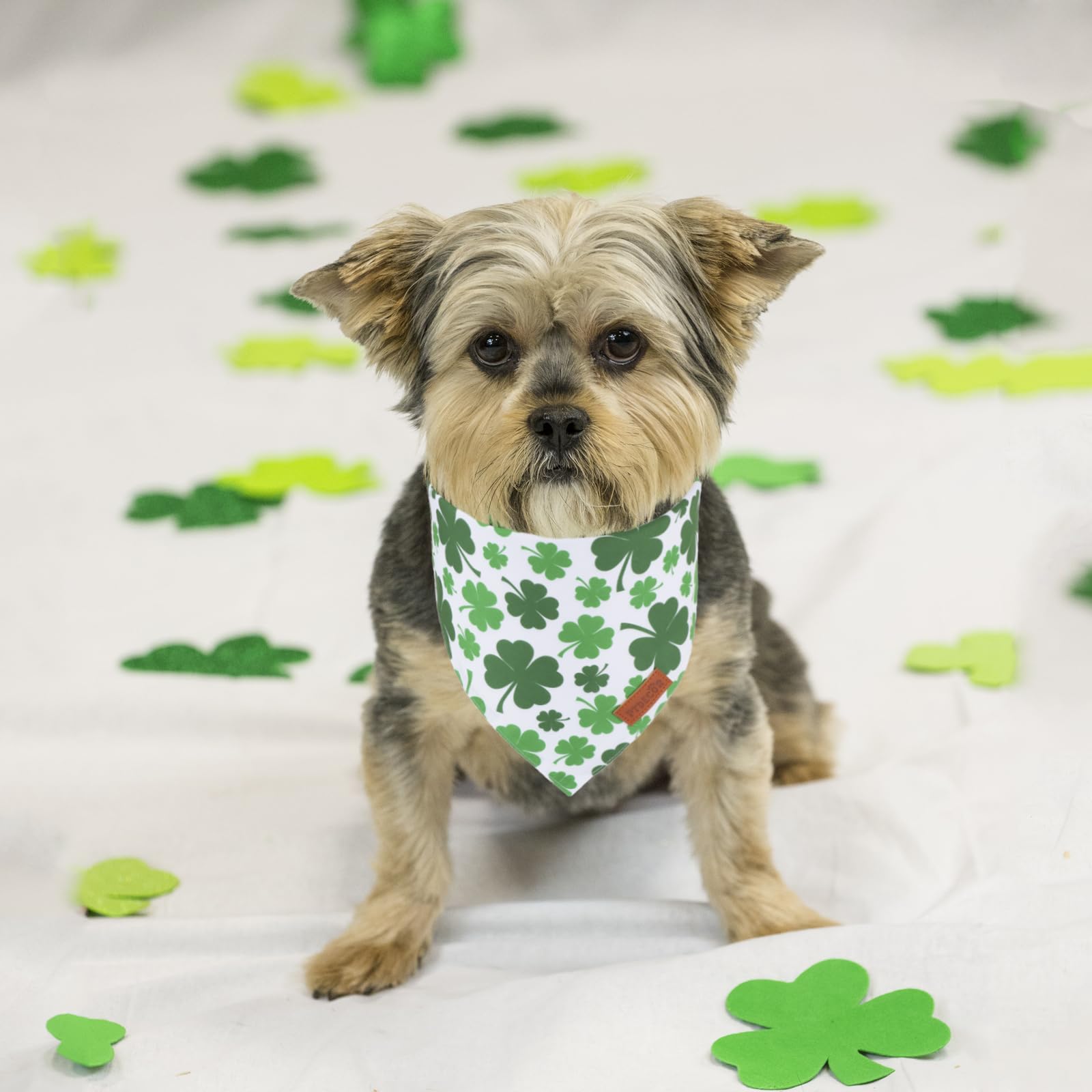 Ptdecor St. Patrick'S Day Dog Bandana, Reversible Dog Scarf, Multi Size Offered, Green Shamrock Pet Bandanas For Small Dogs Pets