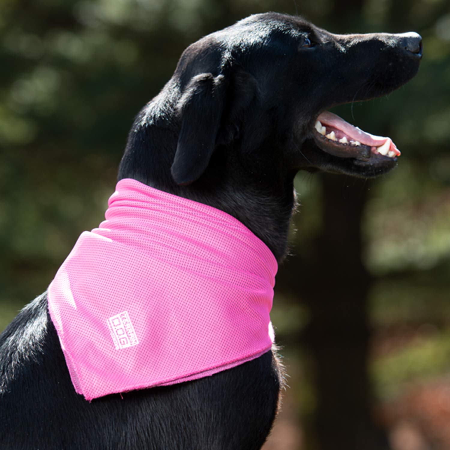 Terrain D.O.G. Cooling Bandana - Cooling Fabric Powered By Coolcore Technology - Machine Washable Scarf To Keep Your Pet Cool, P
