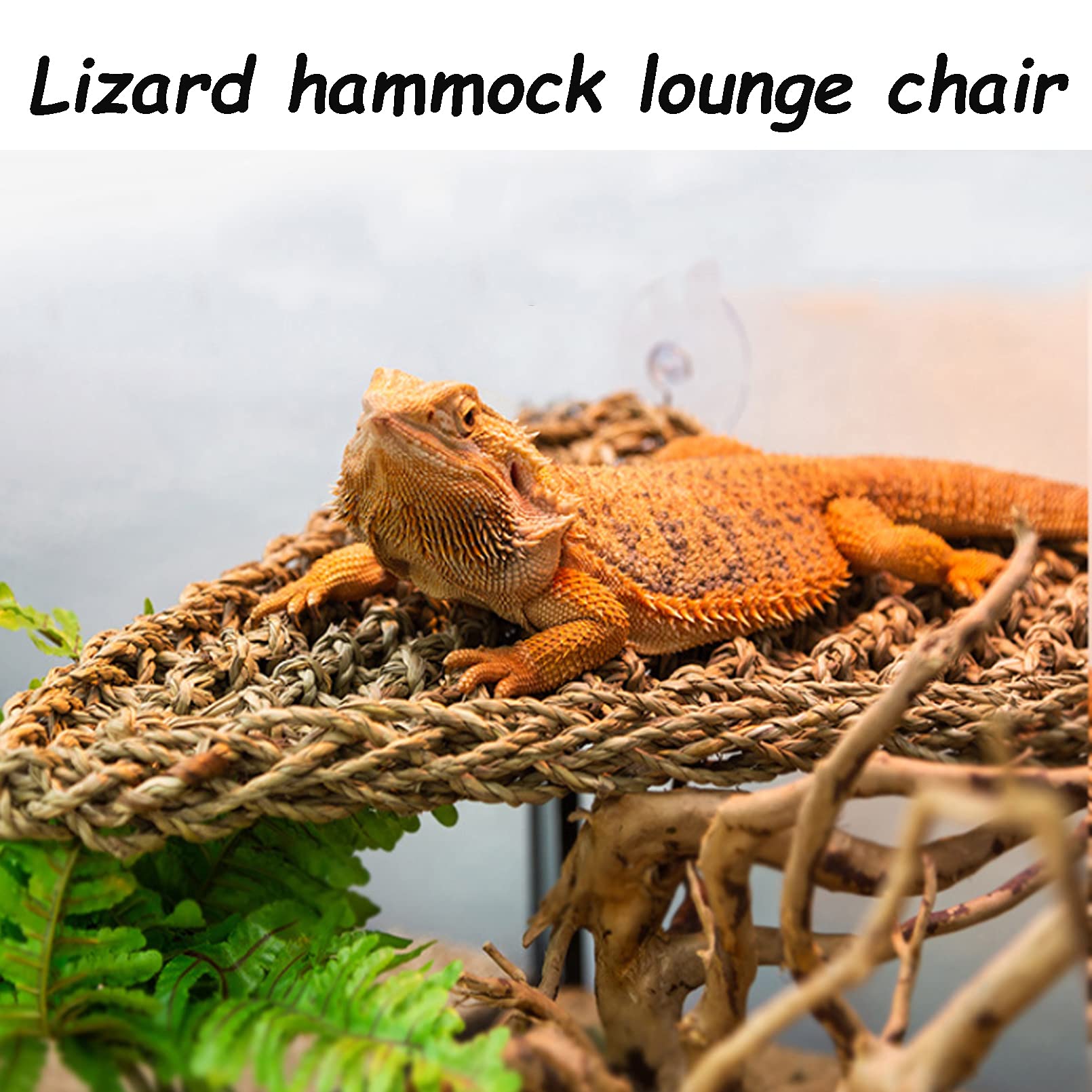 Tfwadmx 3 Pack Bearded Dragon Hammock Lizards Lounger Reptile Climbing Accessories, Natural Seagrass Fibers Hammock For Reptiles Geckos Anoles Iguanas Hermit Crabs Triangular