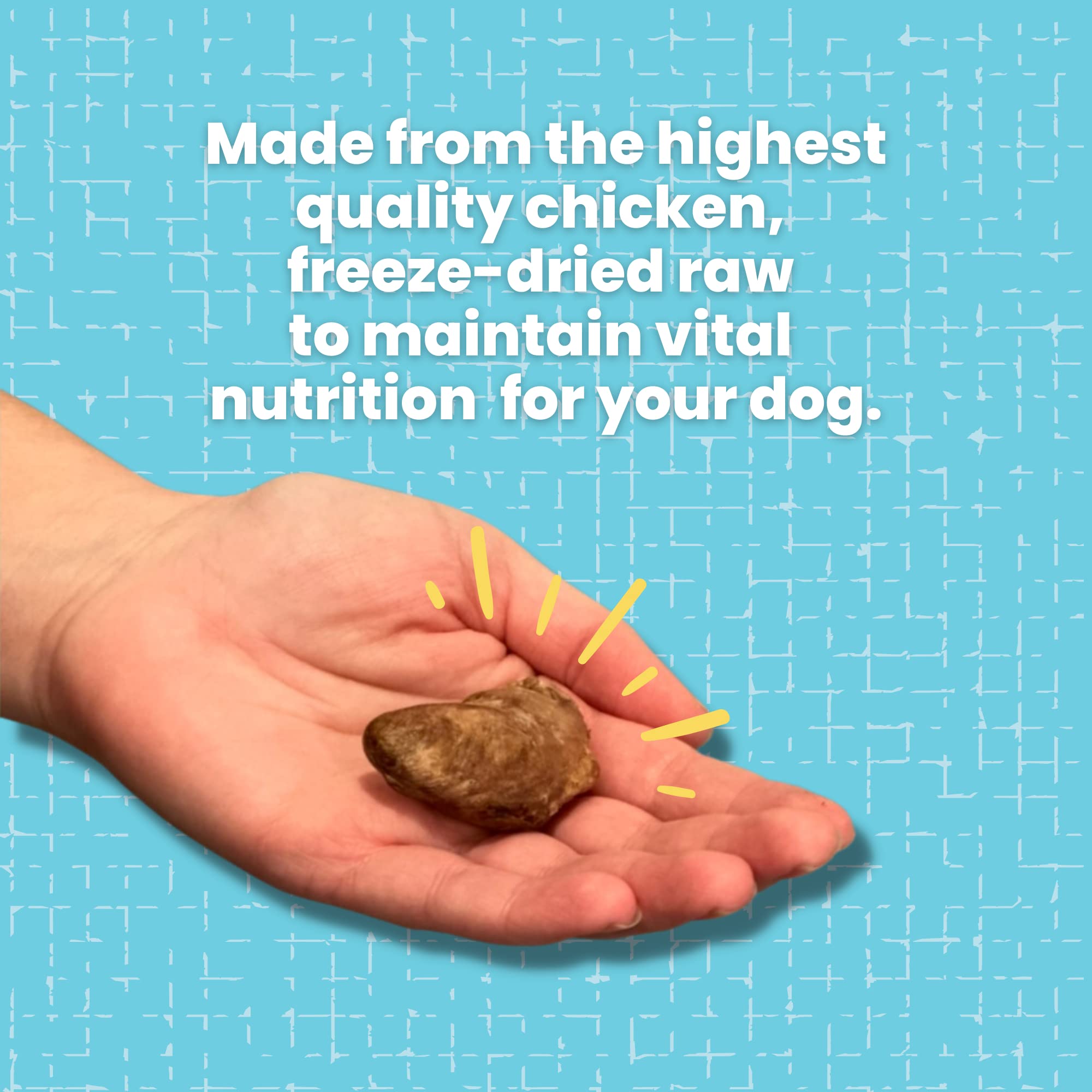 hotspot pets Freeze Dried Chicken Hearts for Cats & Dogs - 1LB Big Bag- Made in USA -Single Ingredient All Natural Grain-Free -R